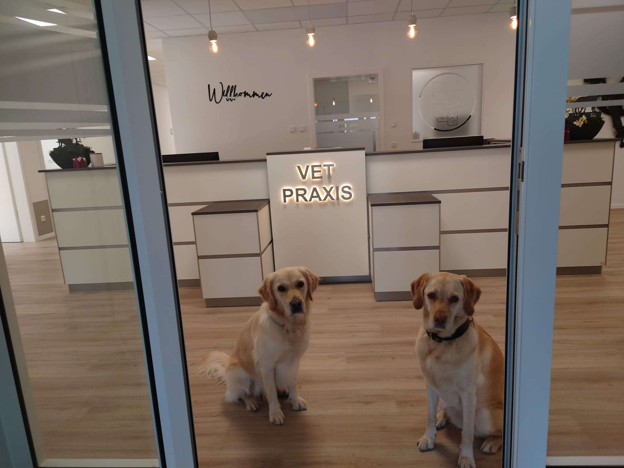 Ansicht 3 von VETPraxis für Kleintiere GmbH