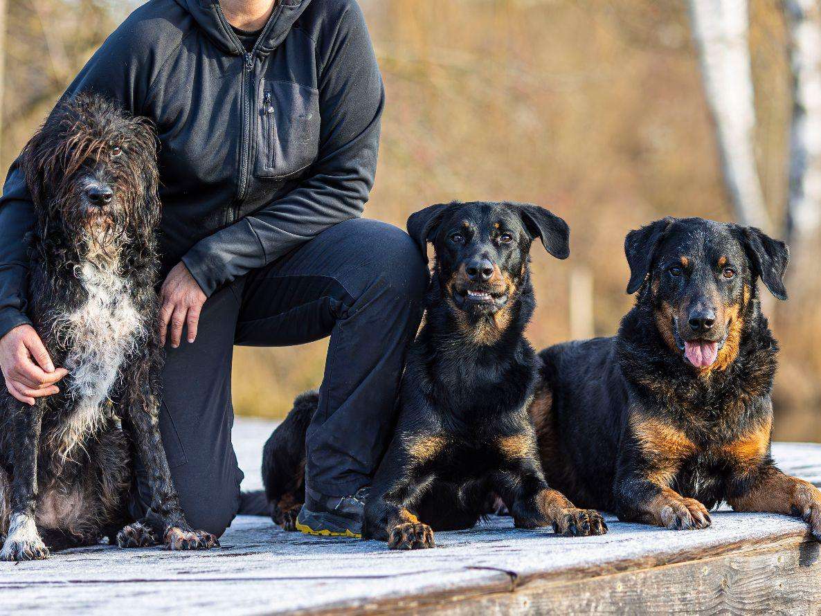 Ansicht 1 von Tierarztpraxis Dr. Tina Wenisch