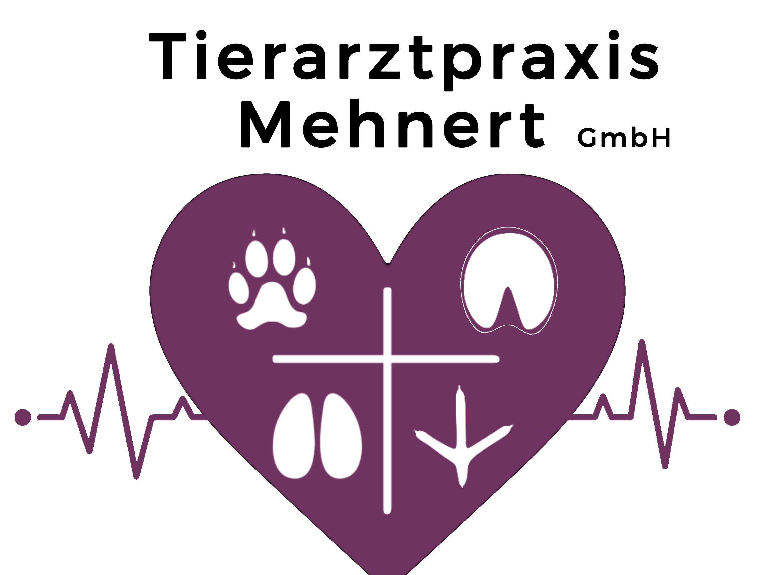 Ansicht 2 von Tierarztpraxis Mehnert GmbH