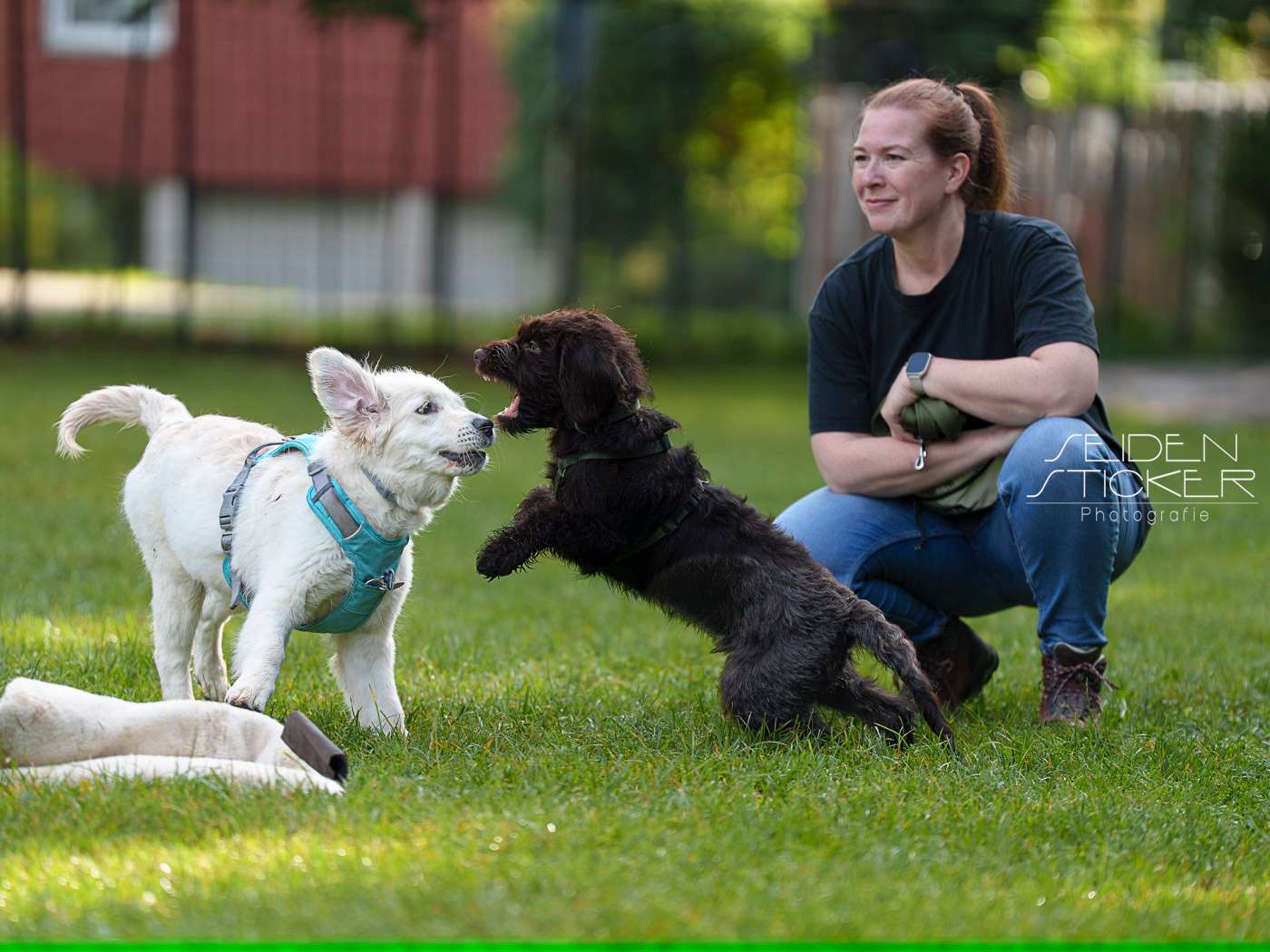 Ansicht 3 von Hundeschule & Praxis für Verhaltensmedizin Dr. Sandra Bruns