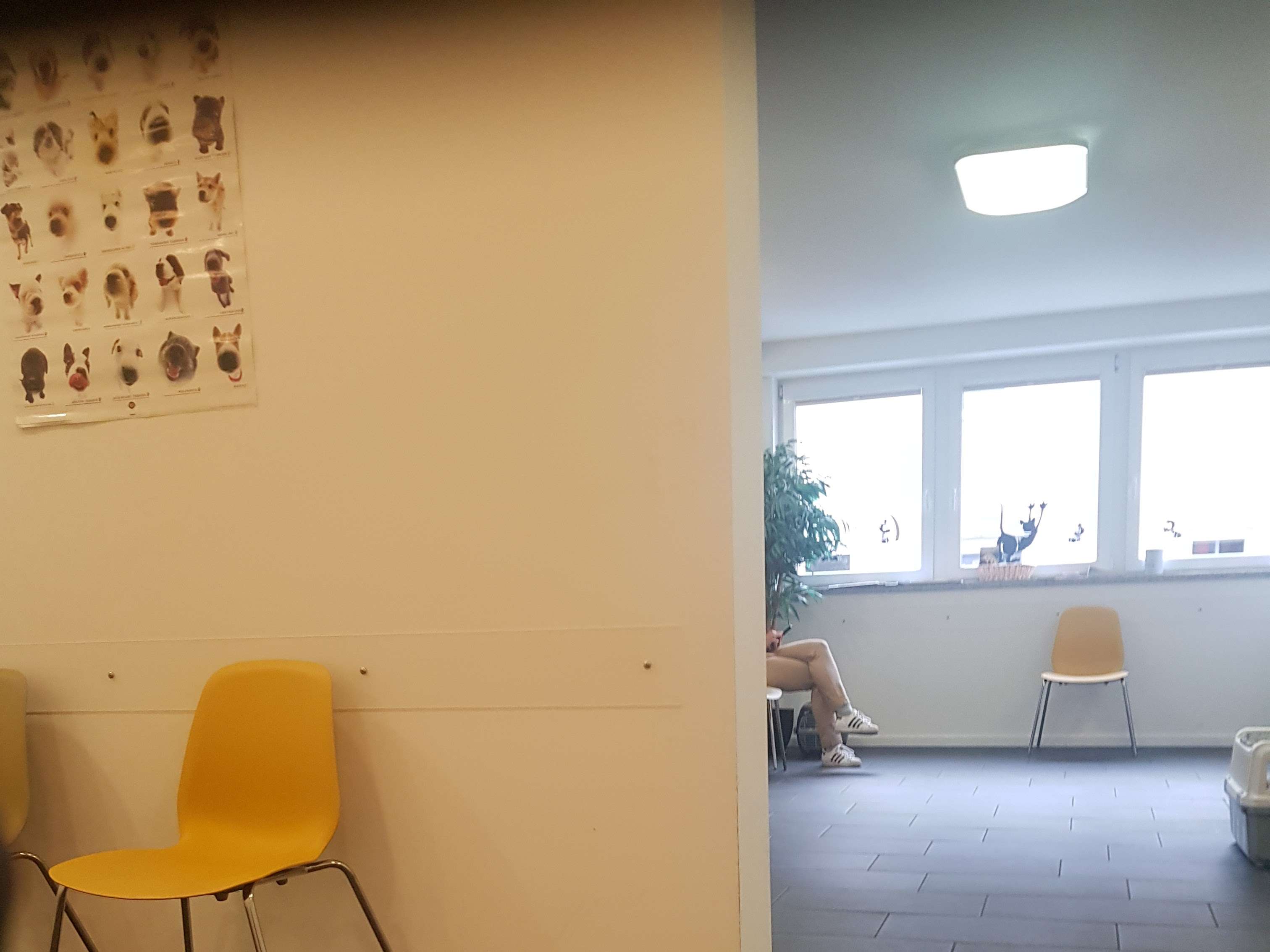 Ansicht 1 von Tierärztin Petra Müller