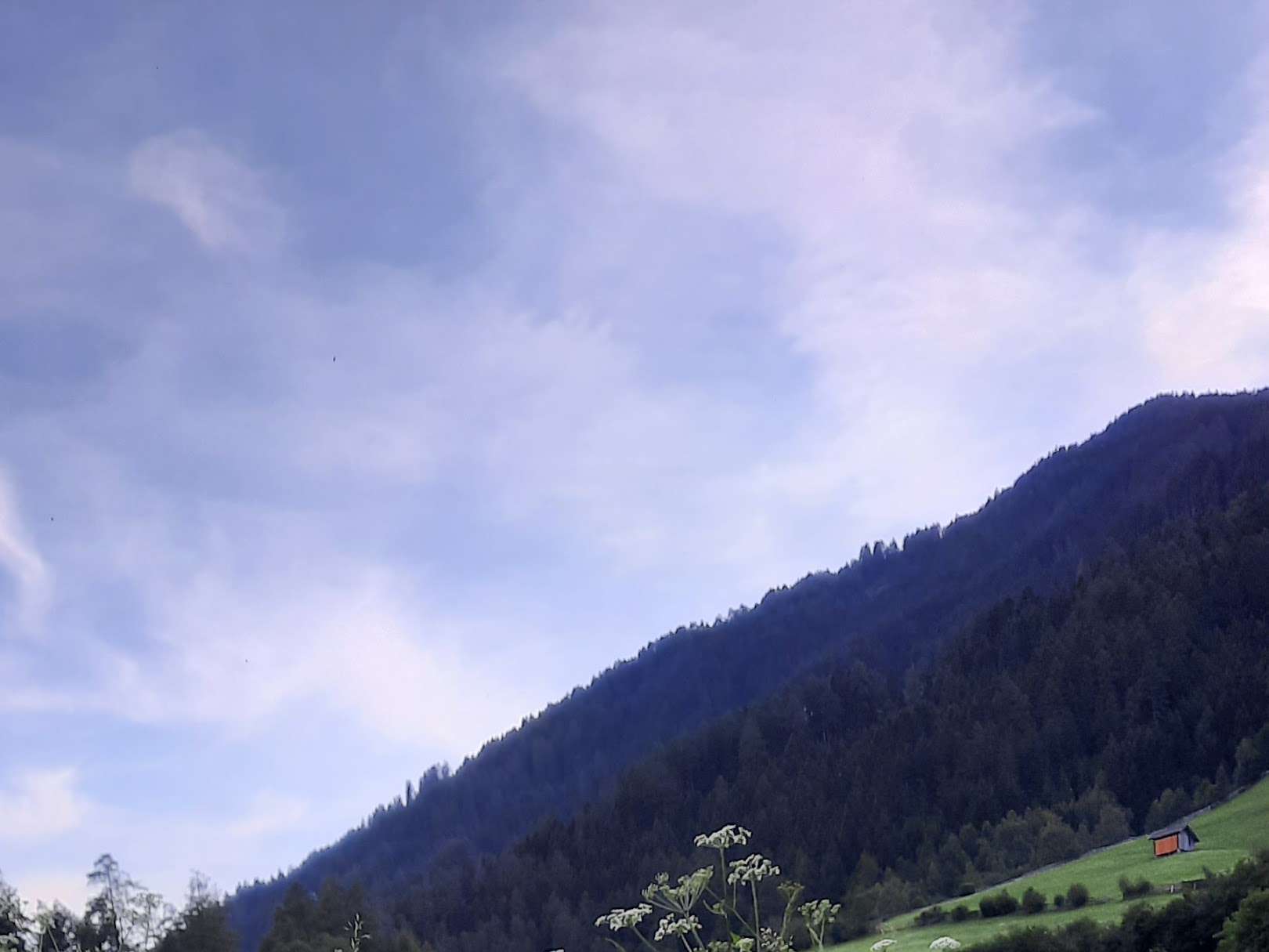 View 2 of Tierarztpraxis Fulpmes