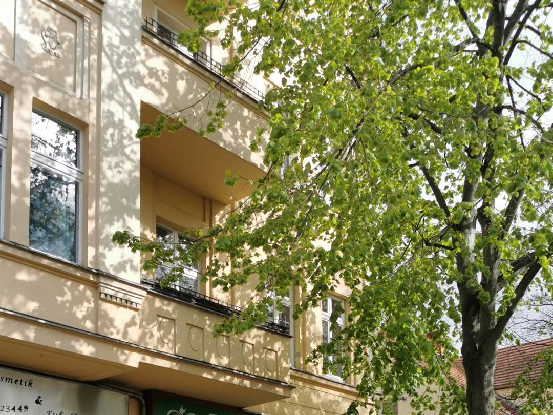 Ansicht 5 von Martyna Pohnke Tierarzt