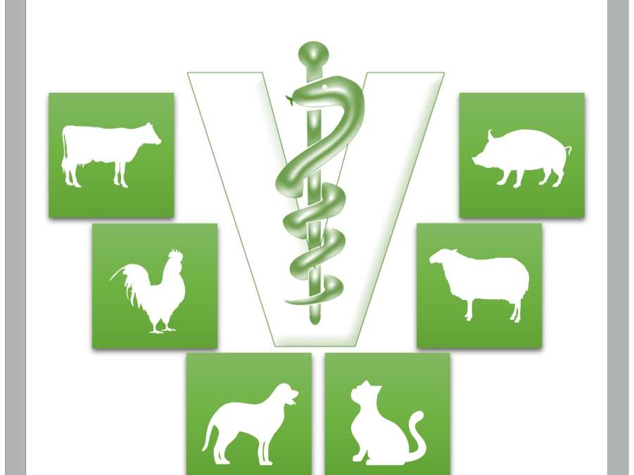 Ansicht 2 von Tierarztpraxis Engelking