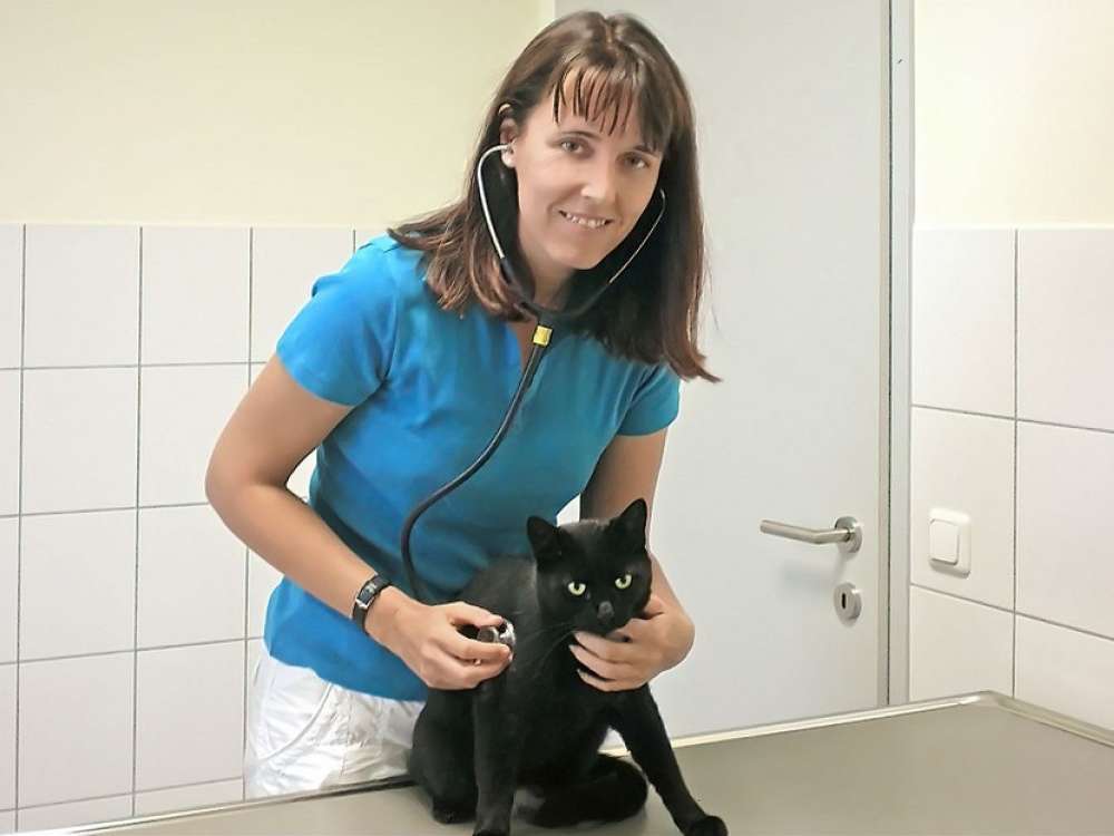 Ansicht 2 von Kleintierordination - Dipl. TA Petra Weiß