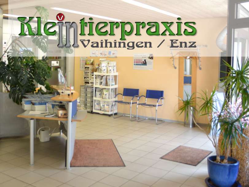 Ansicht 1 von Kleintierpraxis Khelladi in Vaihingen/Enz