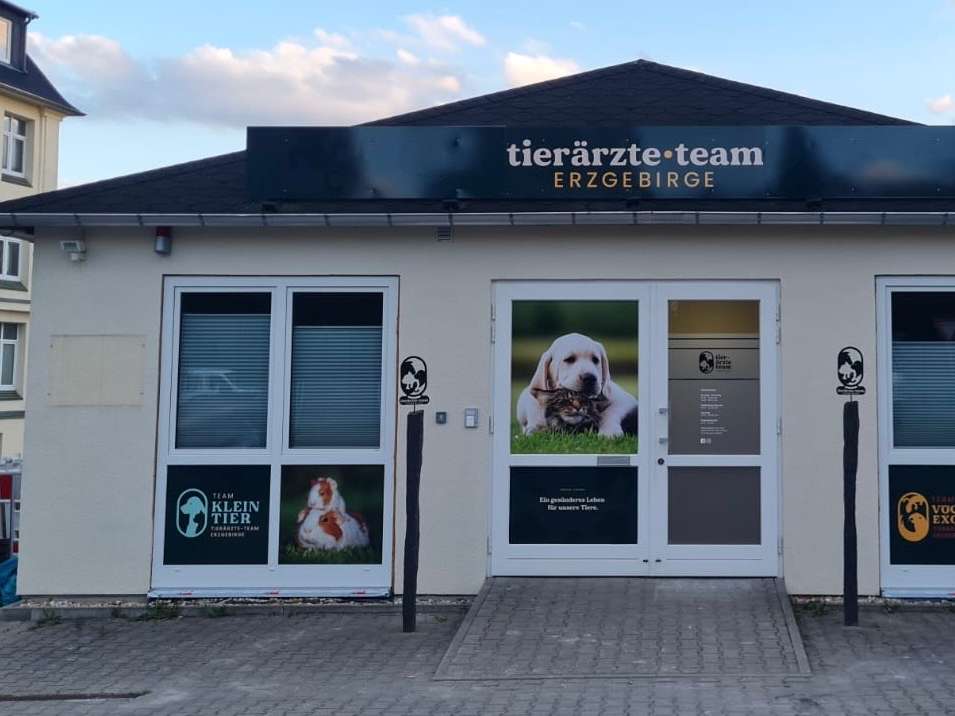 Ansicht 1 von Tierärzte-Team Erzgebirge