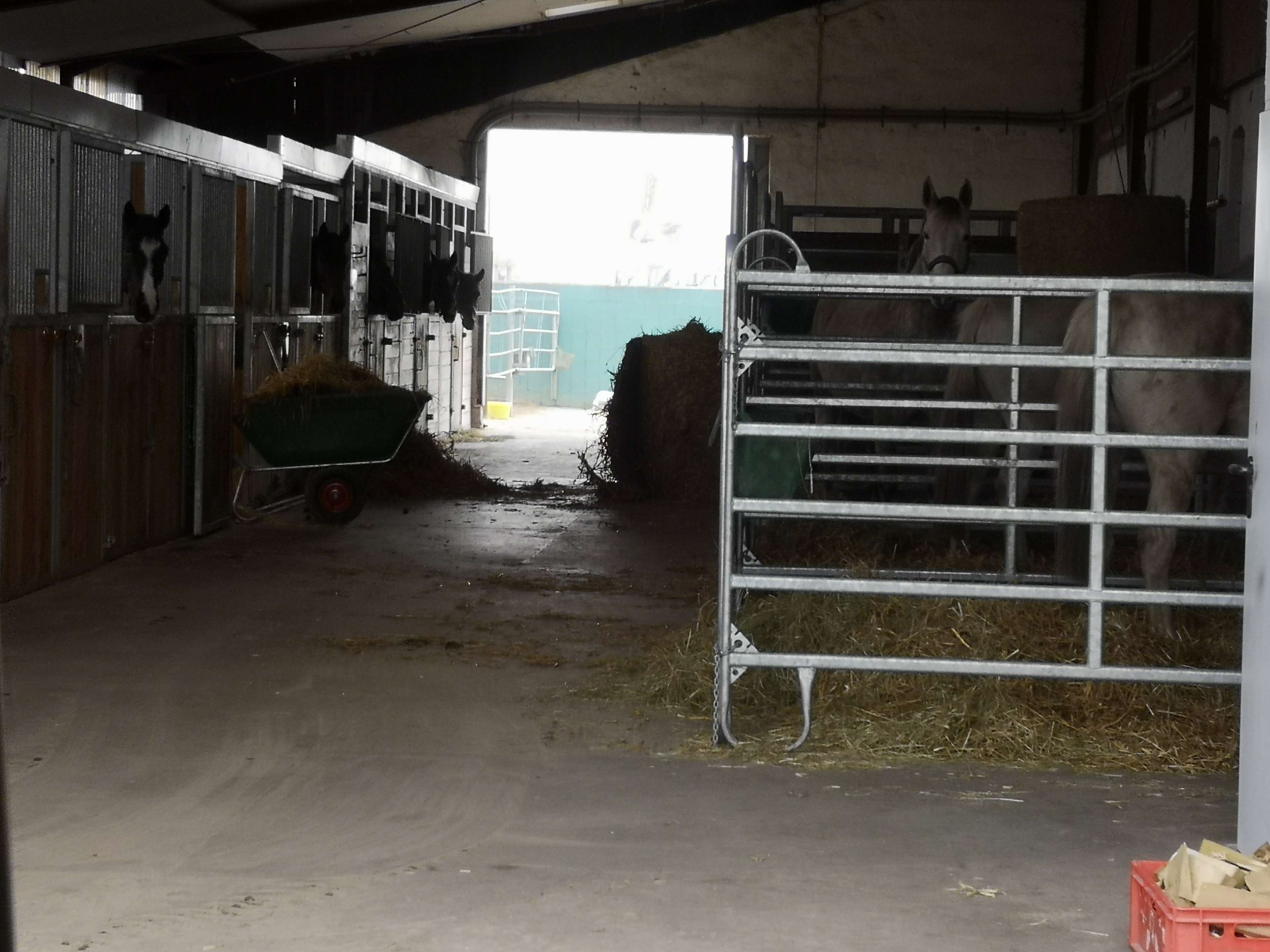 Ansicht 3 von Tierärztliche Praxis Hoffeld