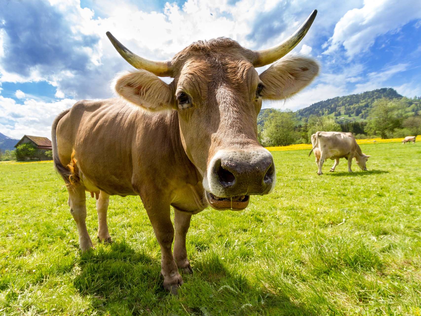 Ansicht 1 von Dr.med.vet. Kerstin Freitag prakt. Tierarzt
