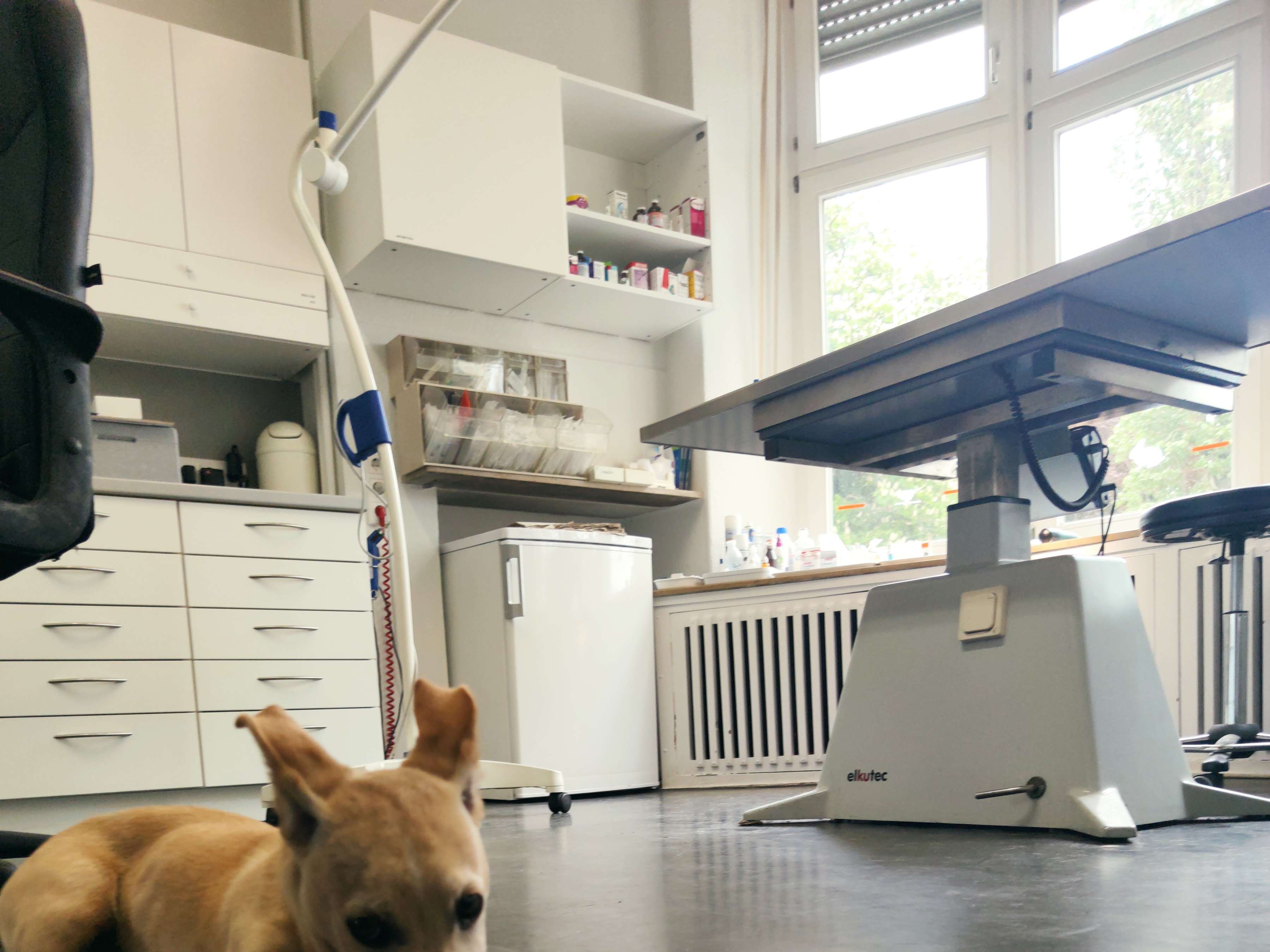 Ansicht 2 von Tierärztin Christine Cilurzo