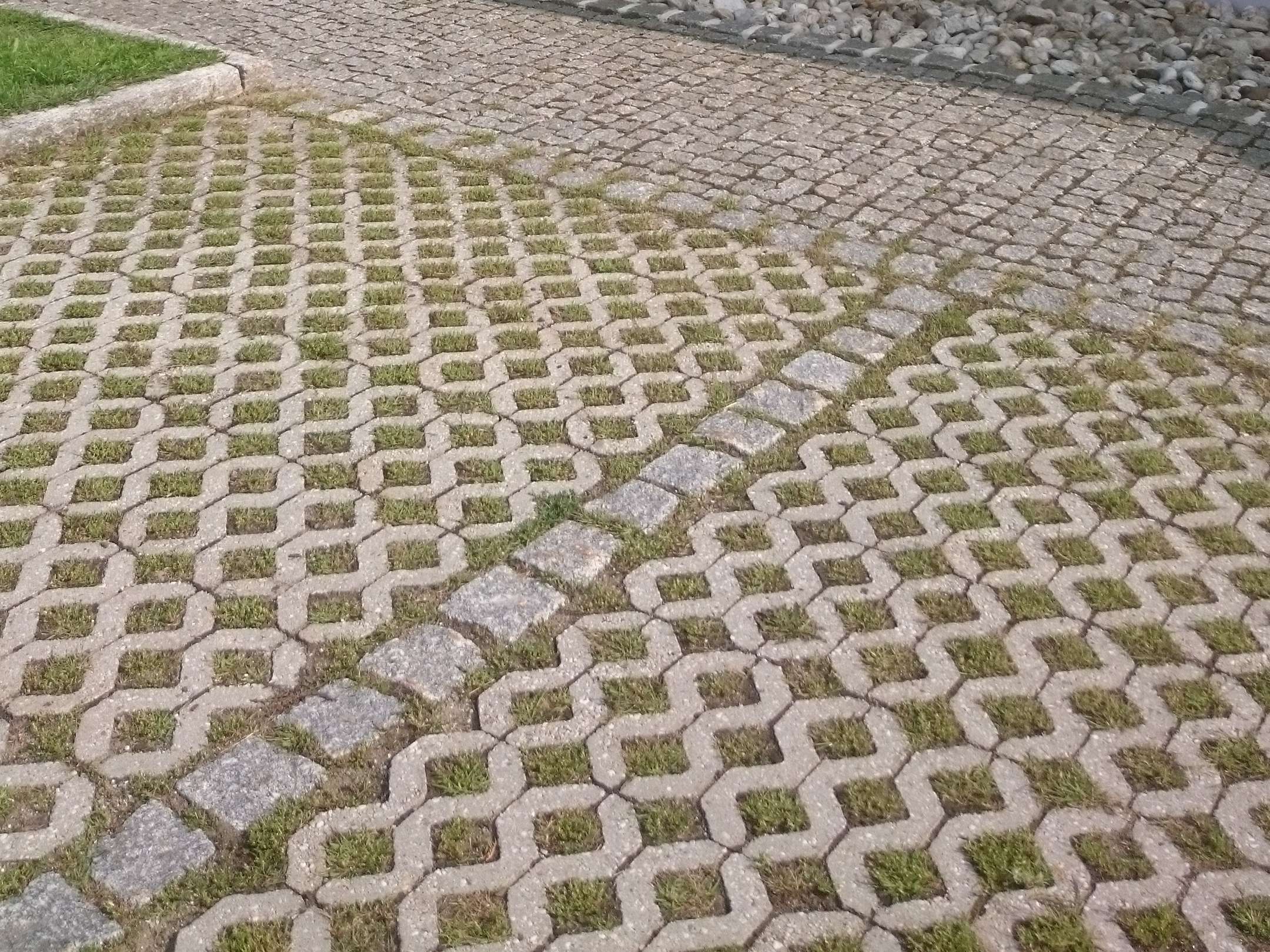 Ansicht 2 von Herbert Paulik Tierarzt