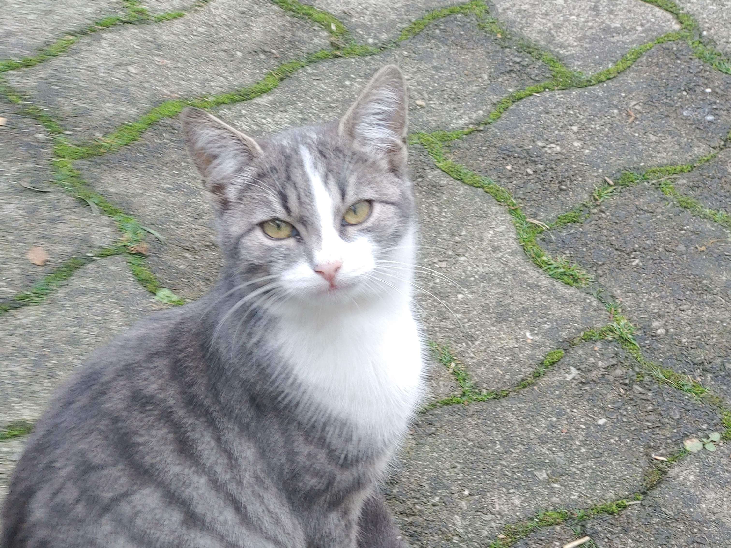 View 1 of Dr.med.vet. Wolfgang Bittner Tierarzt