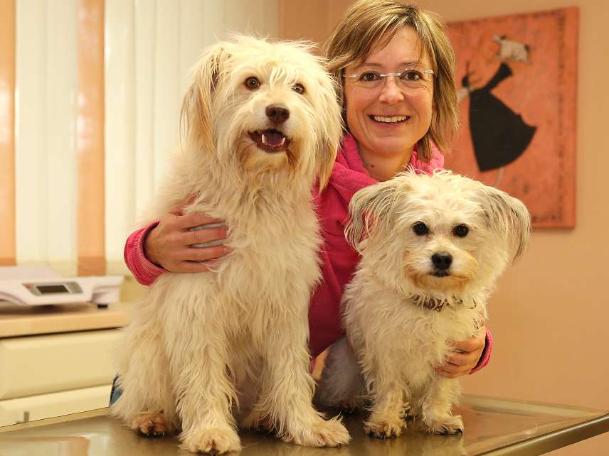 Ansicht 1 von Dr.med.vet. Susanne Kratz