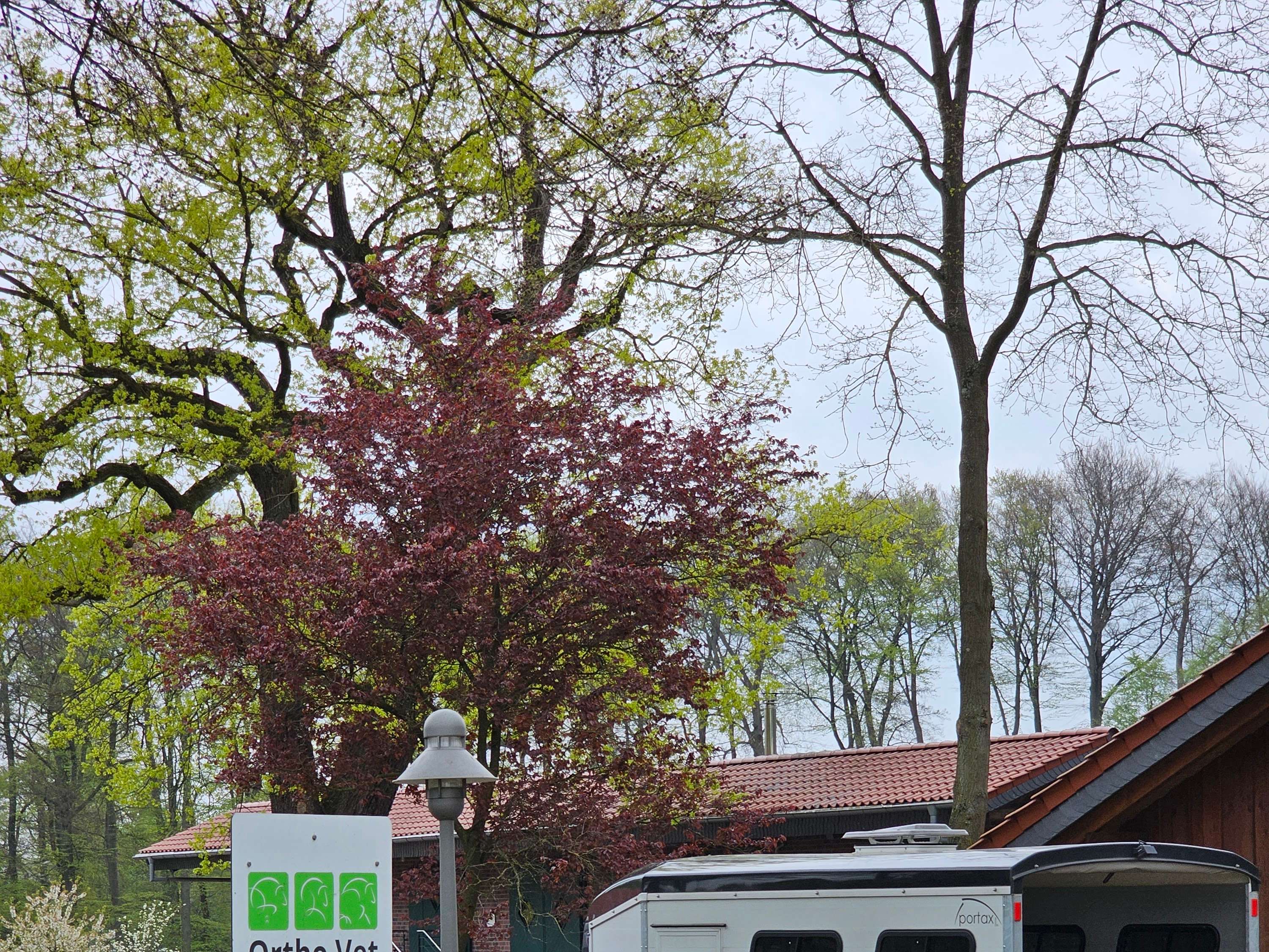 Ansicht 3 von Ortho-Vet