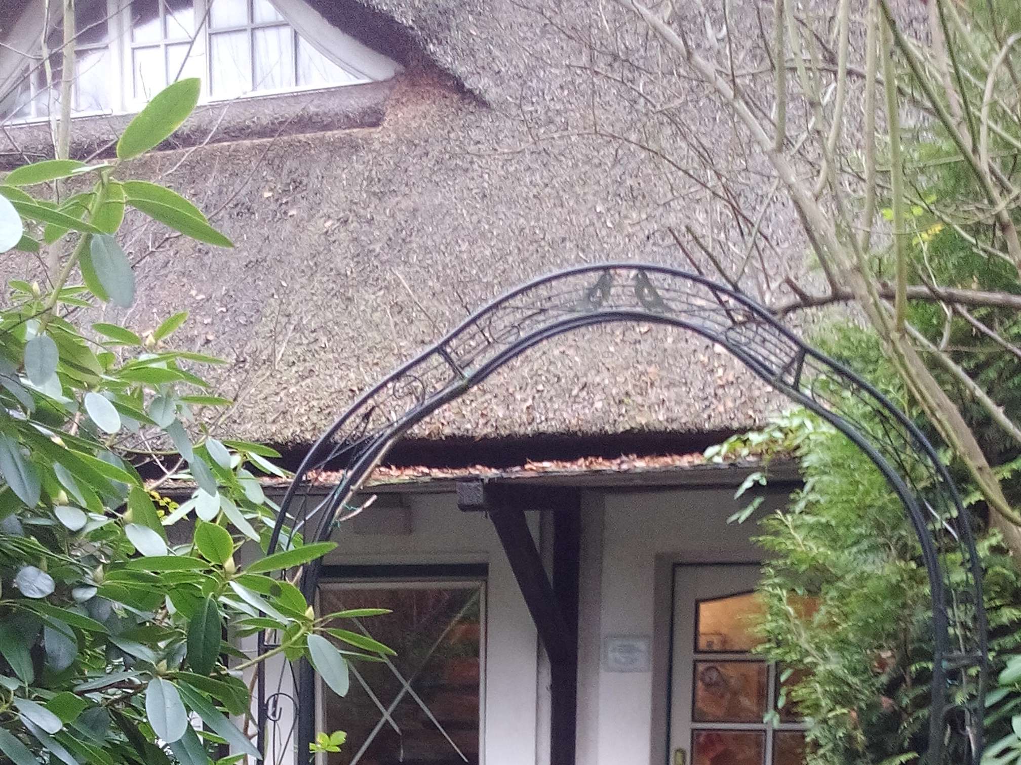 Ansicht 2 von Venthien Sabine Dr.med.vet. Tierärztin