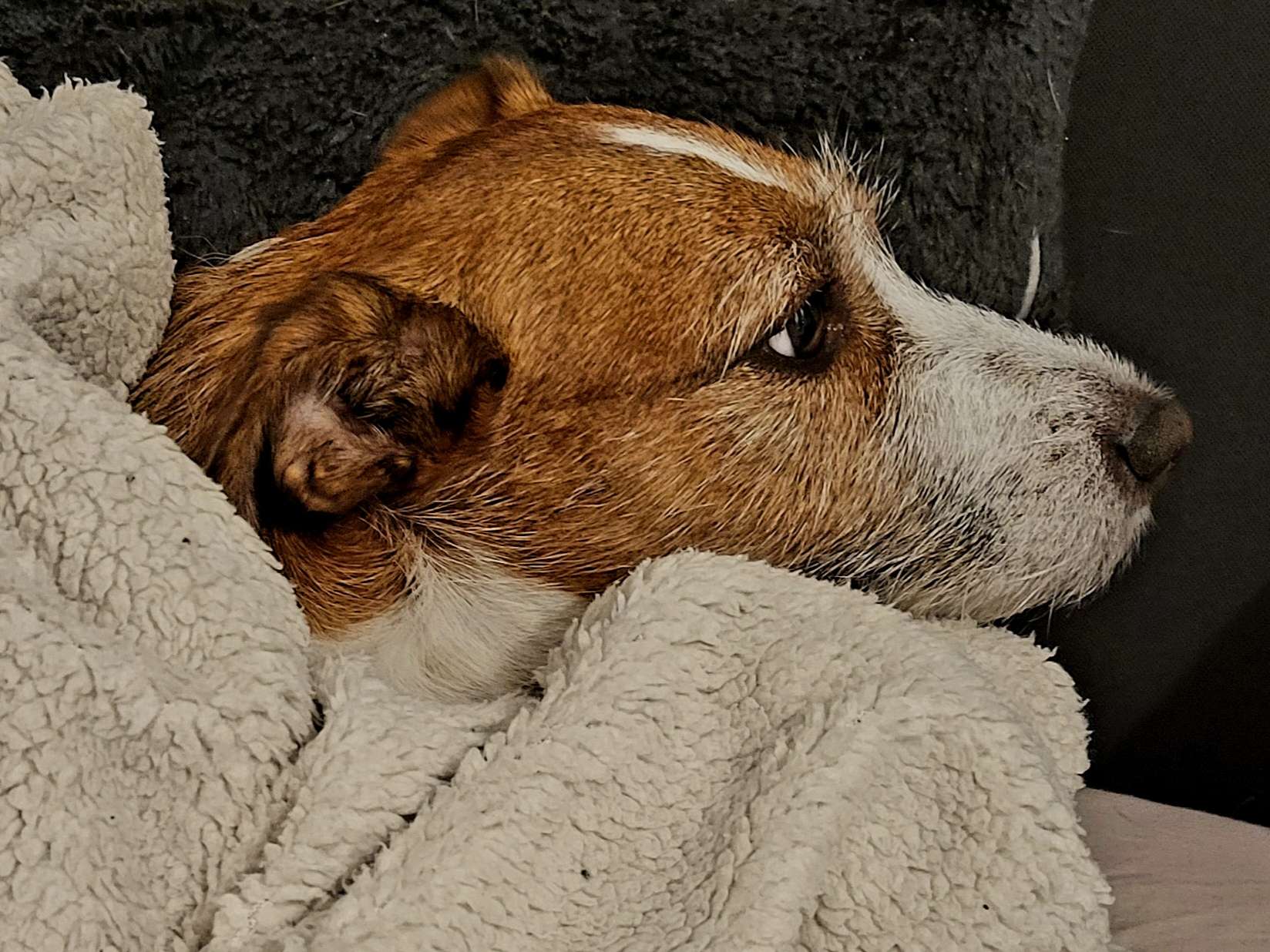 View 1 of Tierarztpraxis Rosenhof / Claudia Hartke