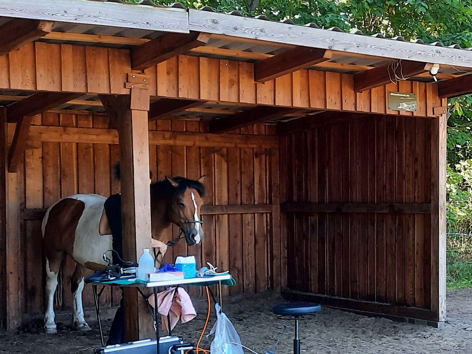 Ansicht 2 von Pferdepraxis Teltow Hippovet GmbH - Ihr Tierarzt für Pferde in Berlin und Brandenburg