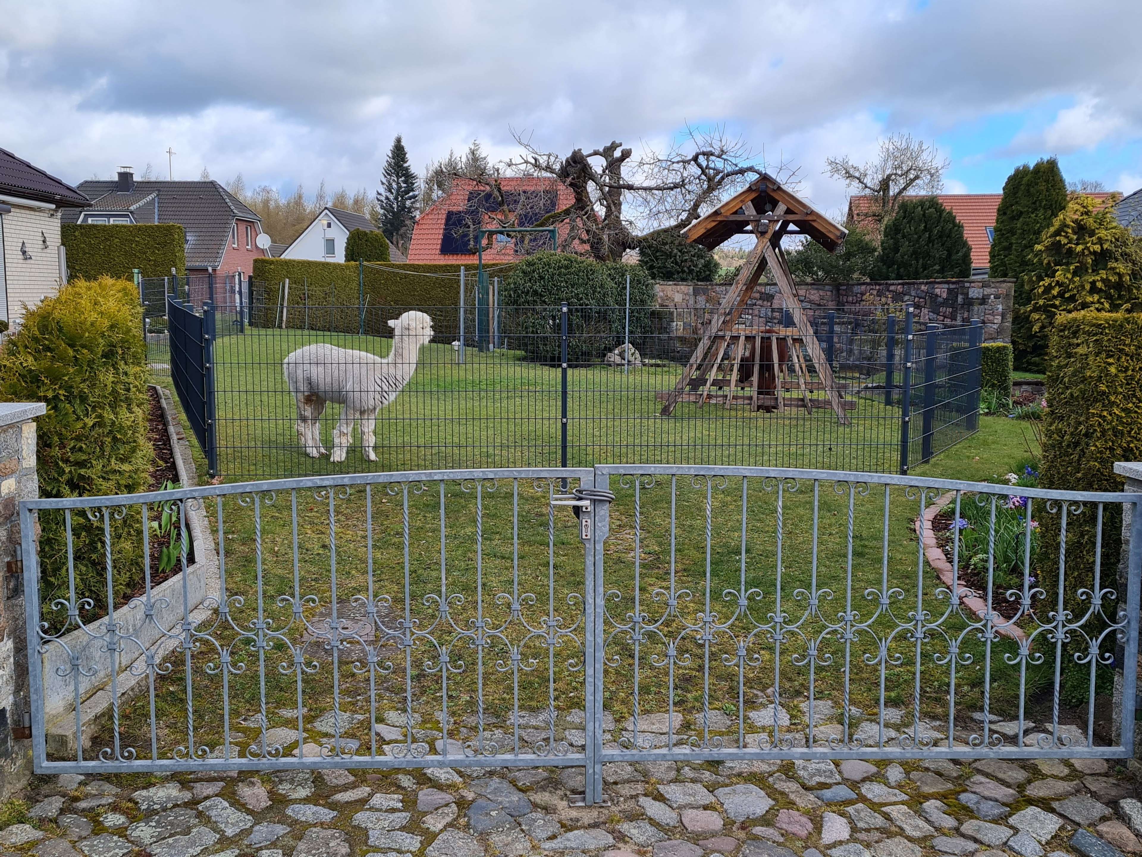View 1 of Dagmar Thüring Tierärztin