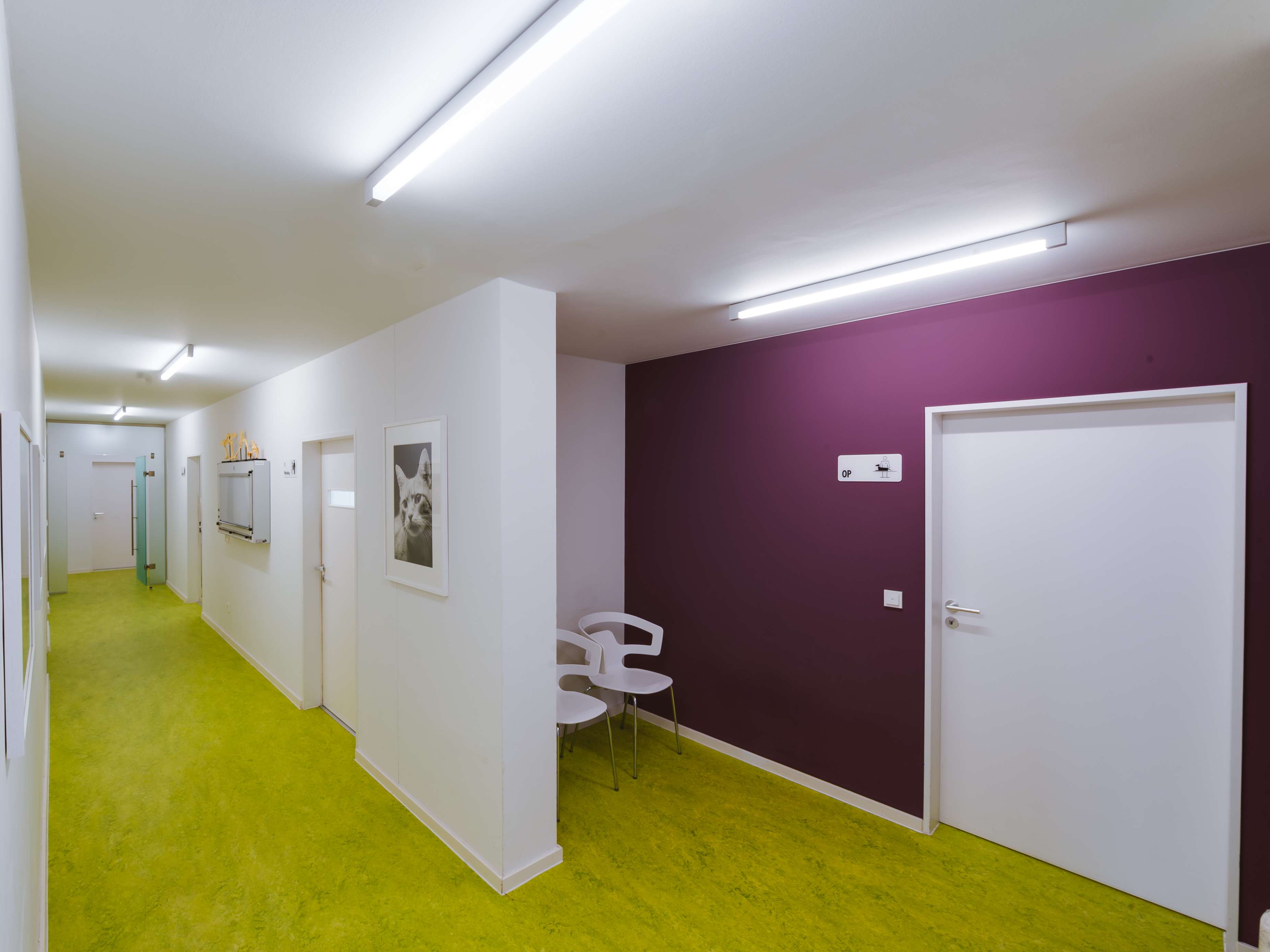 Ansicht 3 von Tierärzte IVC Evidensia GmbH Tierärztezentrum Landshut