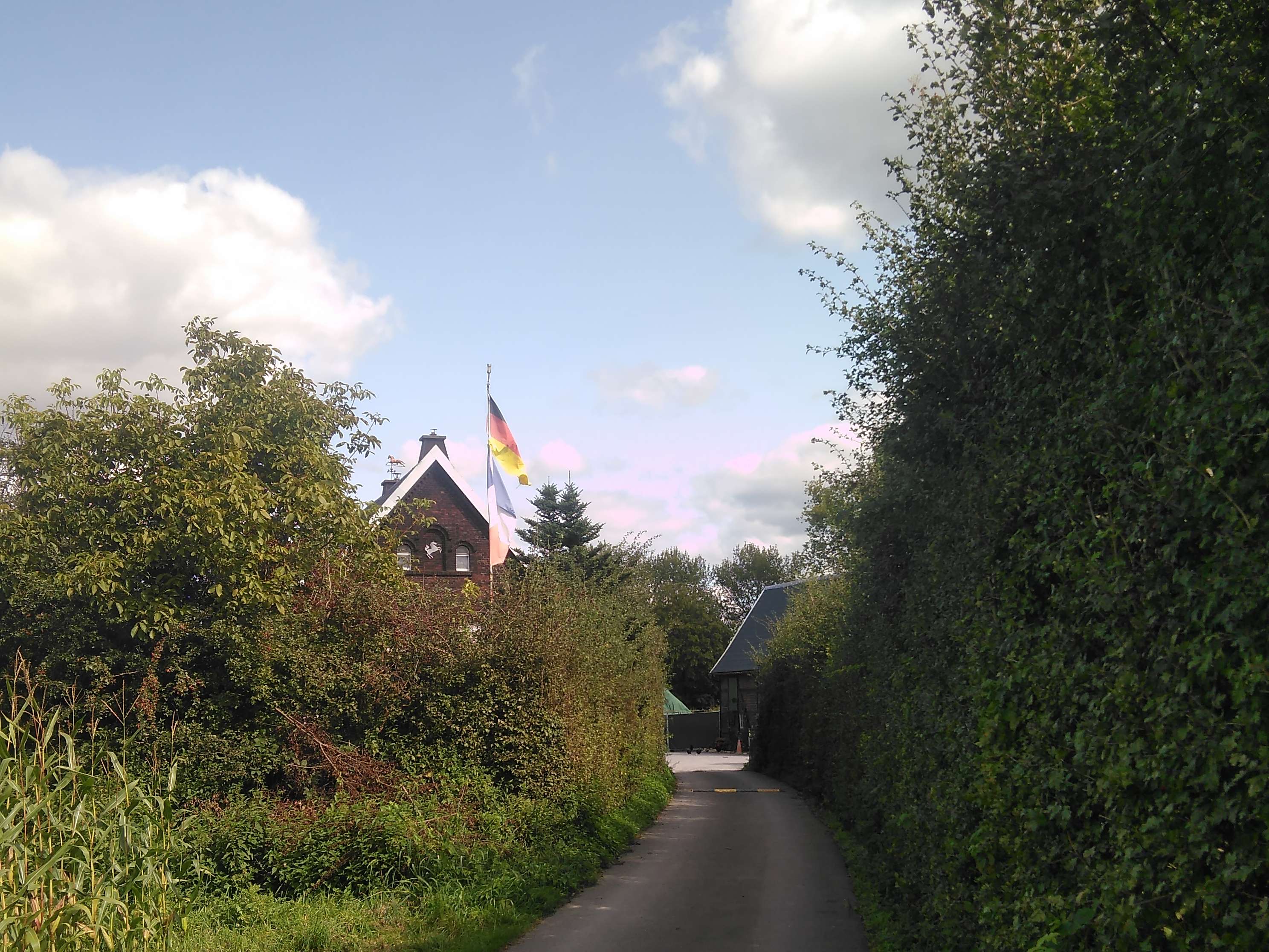 View 1 of Tierarztpraxis Meusel