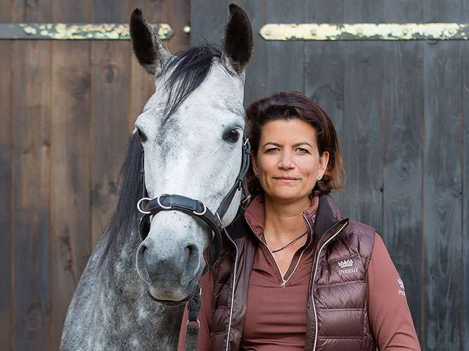 Ansicht 1 von Tierärztliche Praxis für Akupunktur und Chiropraktik beim Pferd
