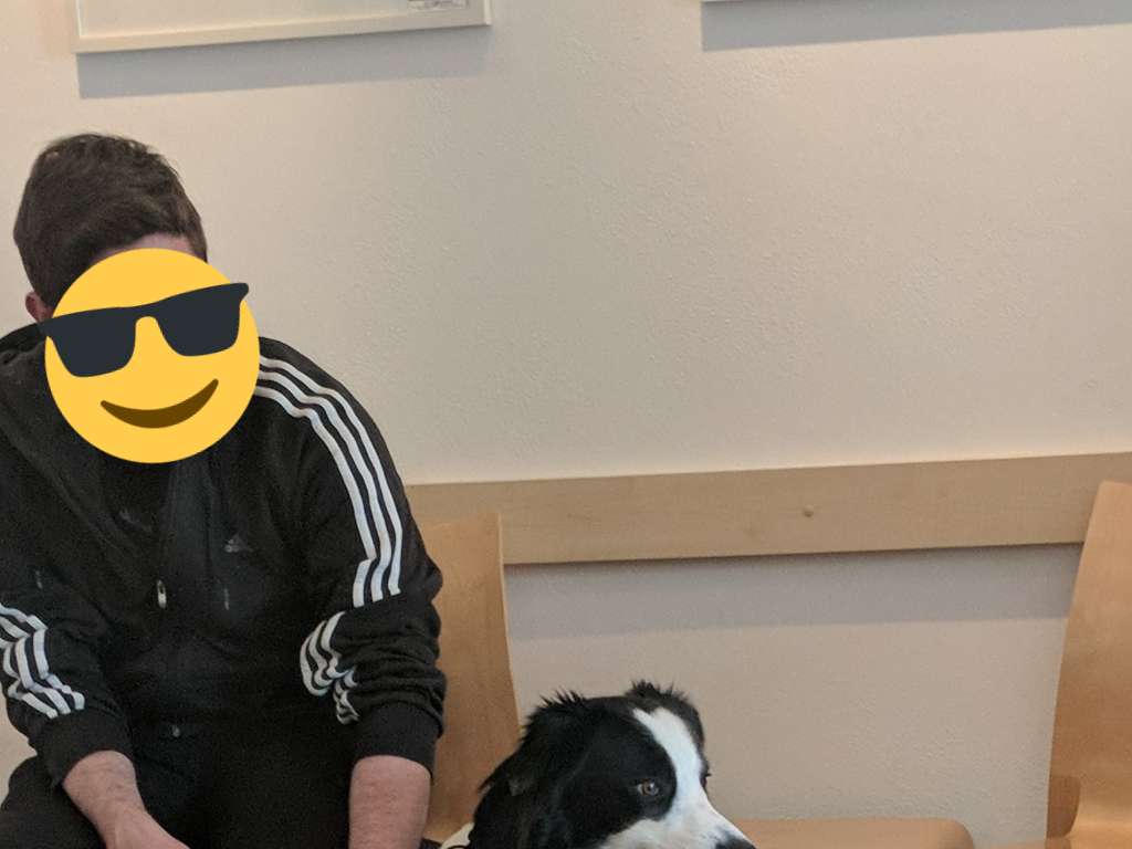 Ansicht 3 von Dr.med.vet. Ulf-Dieter Pauling - Ingolstadt