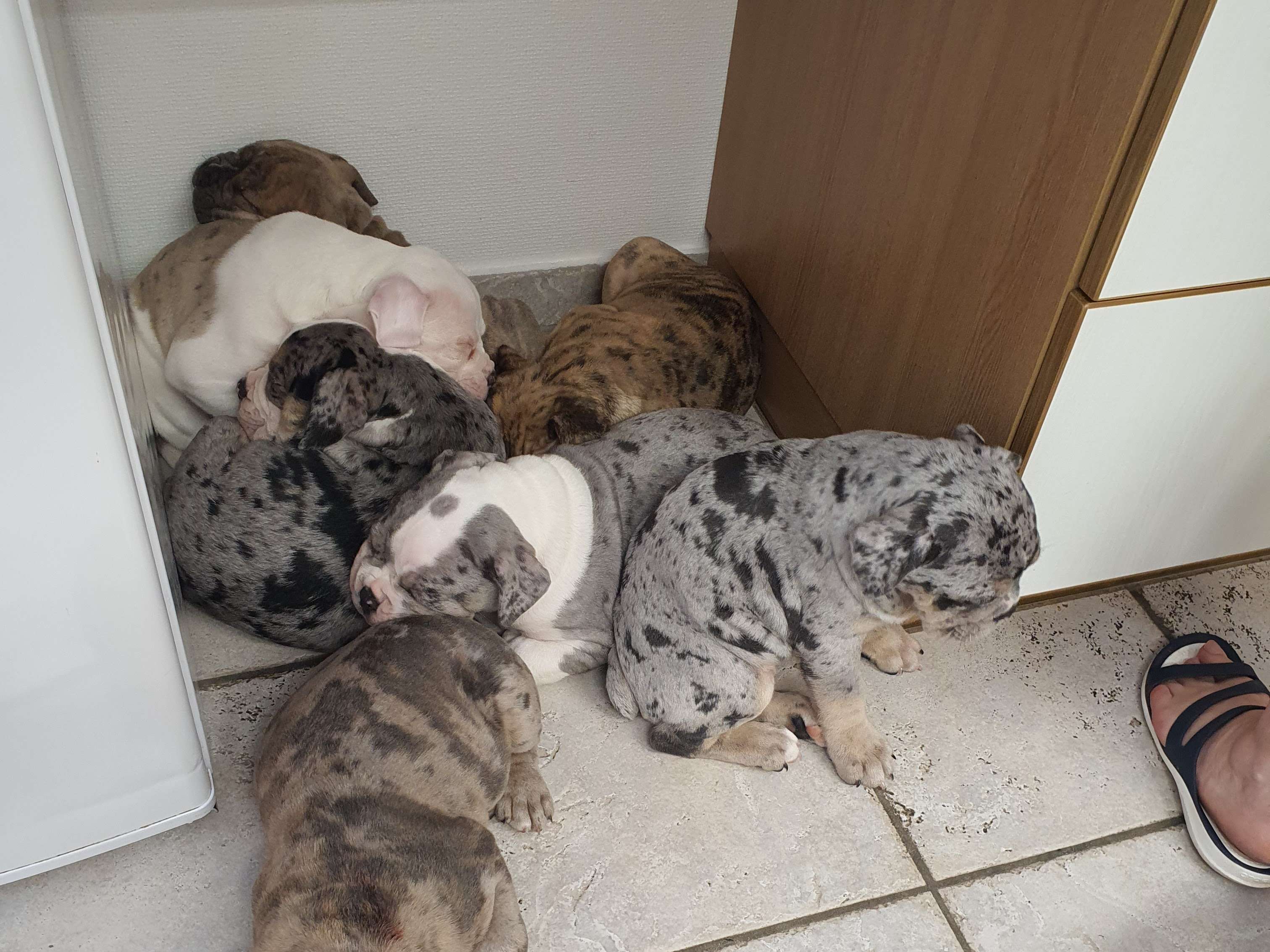 Ansicht 4 von Dieter Ertel Tierarzt