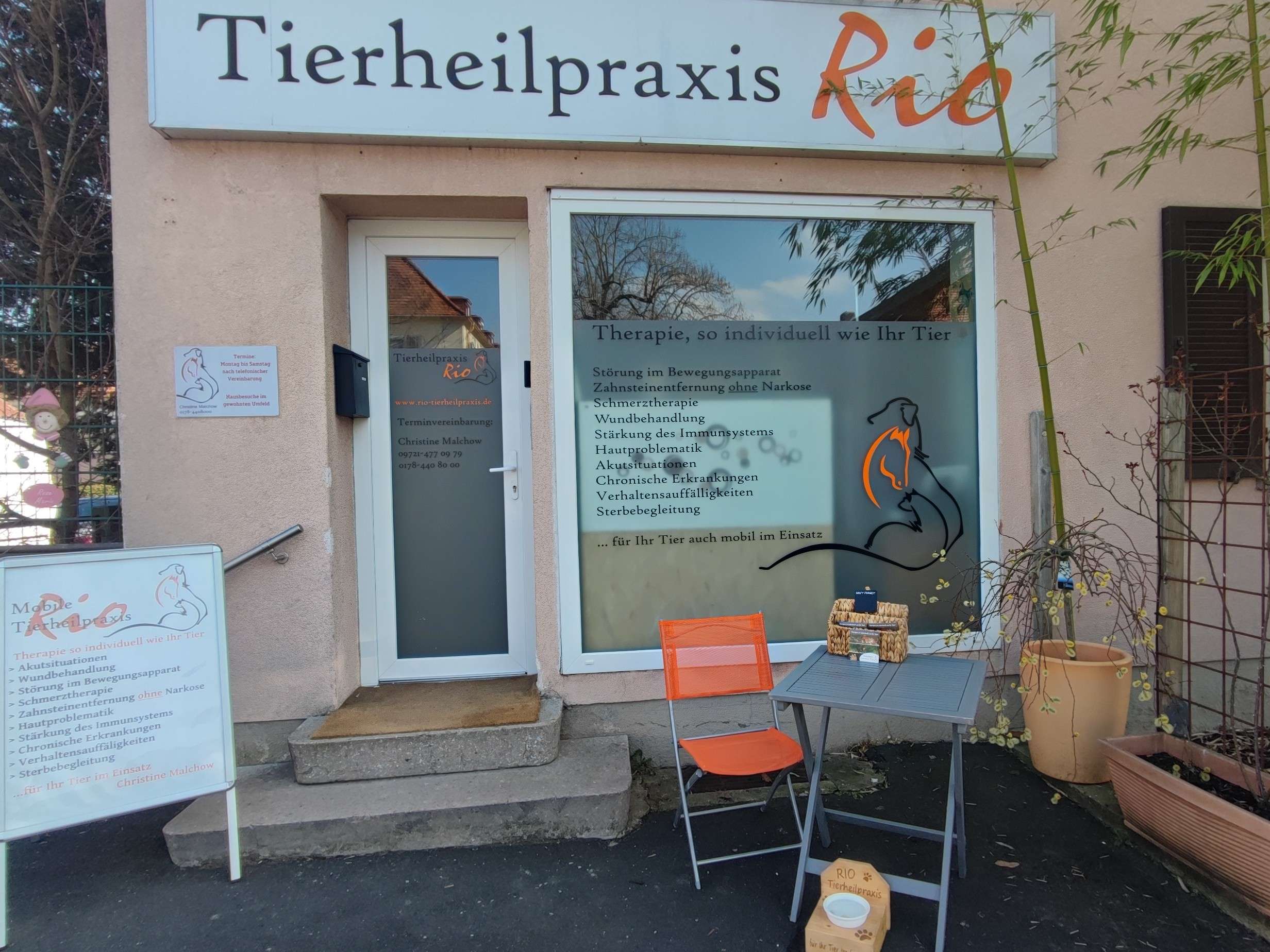 Ansicht 1 von Mobile Tierheilpraxis Rio