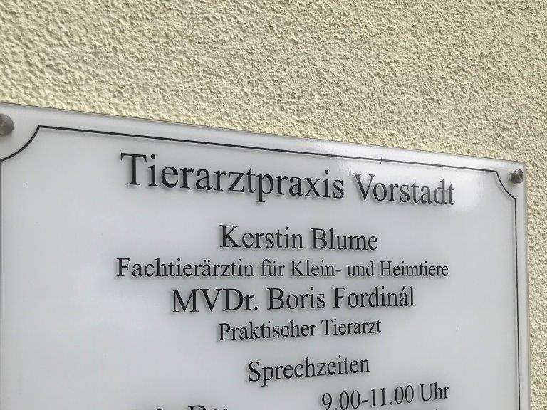 View 3 of Tierarztpraxis Vorstadt