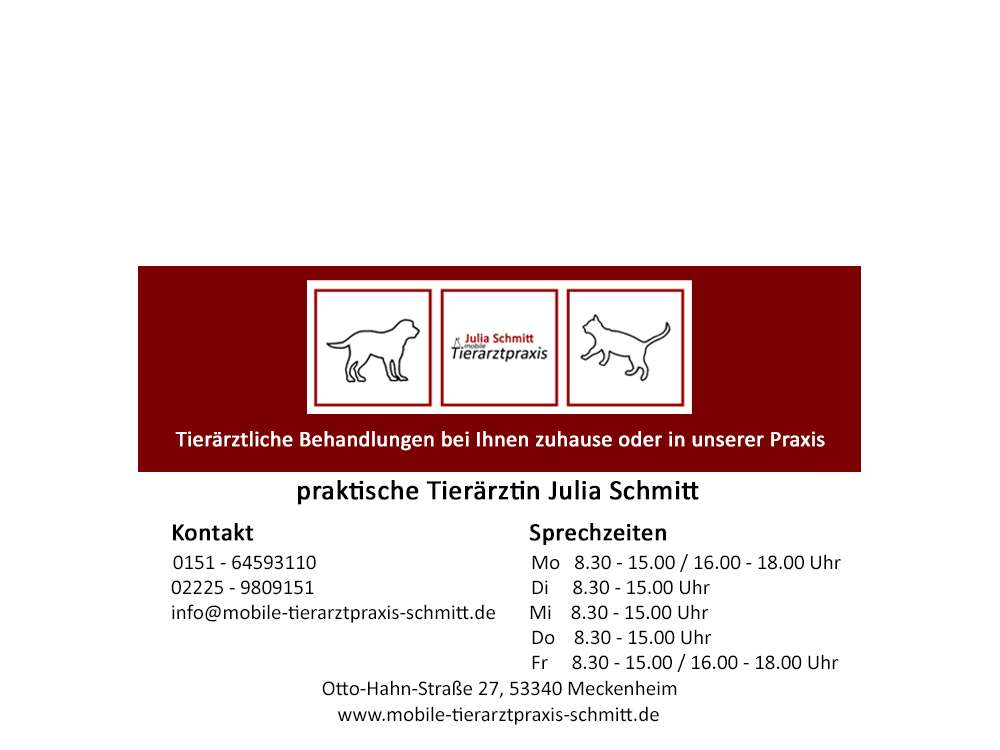 View 3 of Tierarztpraxis Julia Schmitt