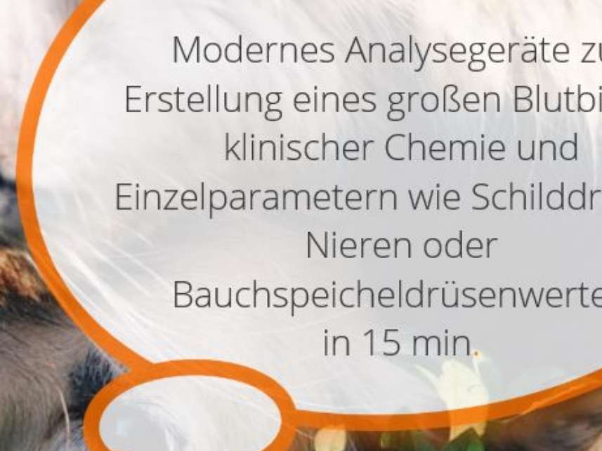 Ansicht 1 von Kleintierpraxis Döhren