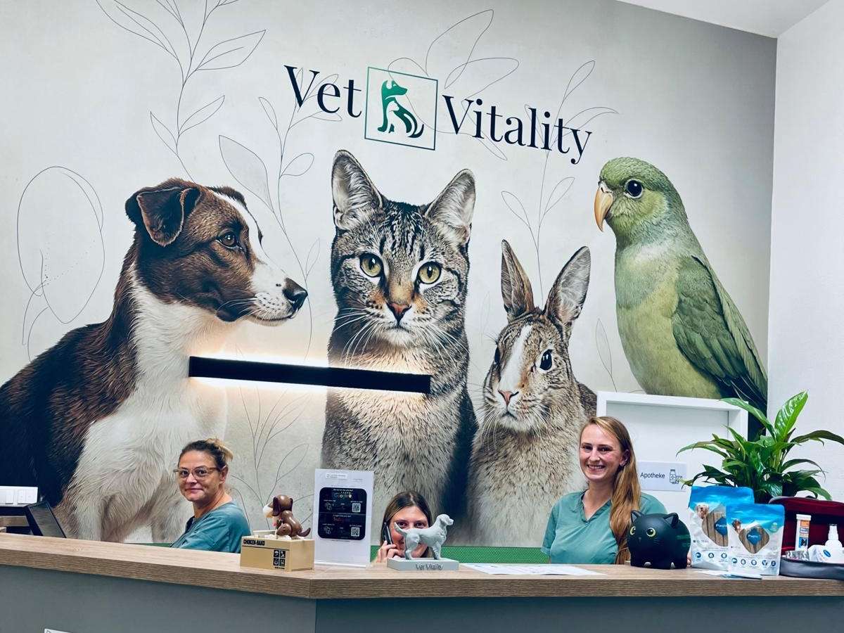 Ansicht 2 von Tierarztpraxis Vet Vitality