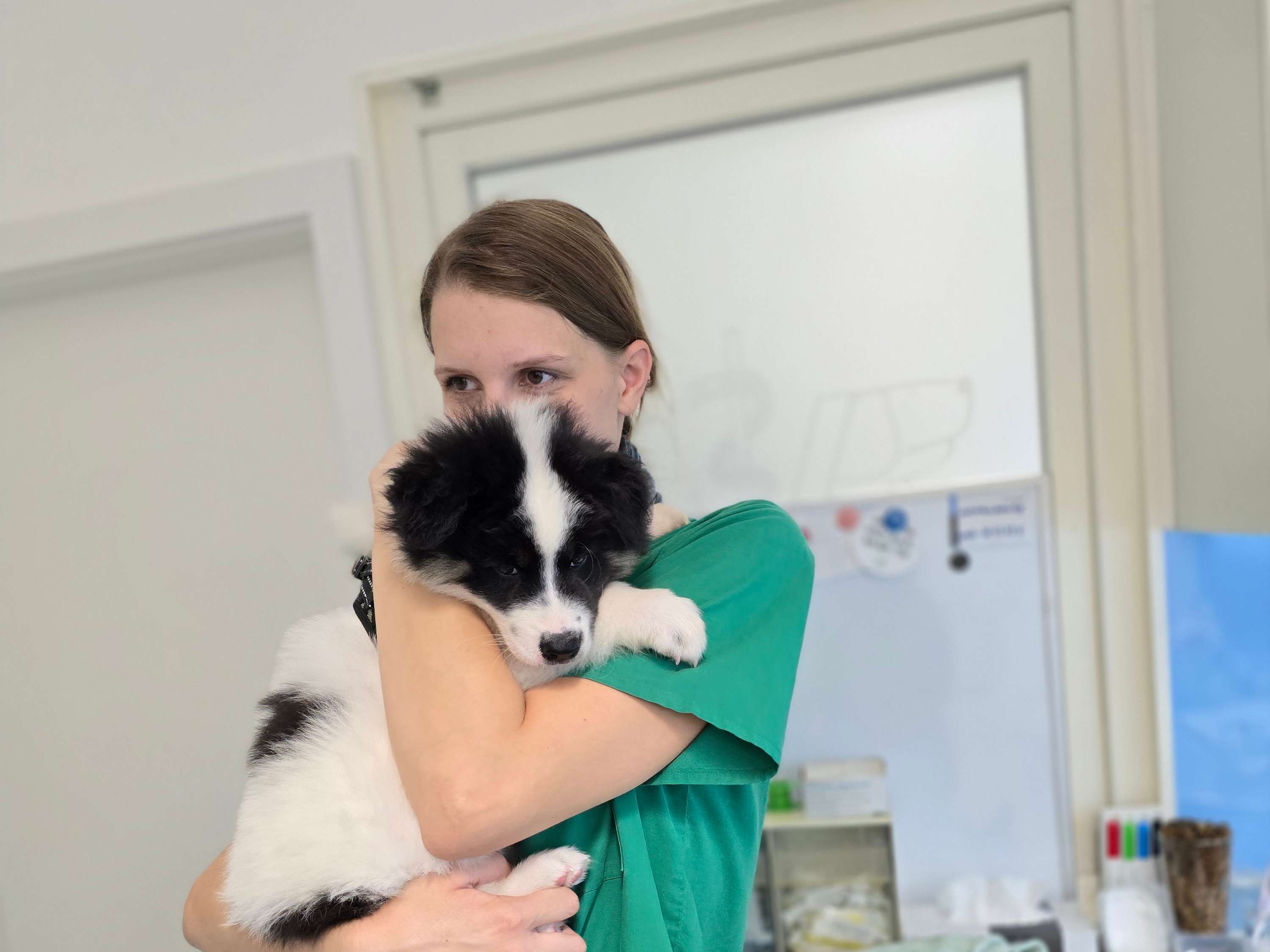 Ansicht 3 von Dr.med.vet. Kesten