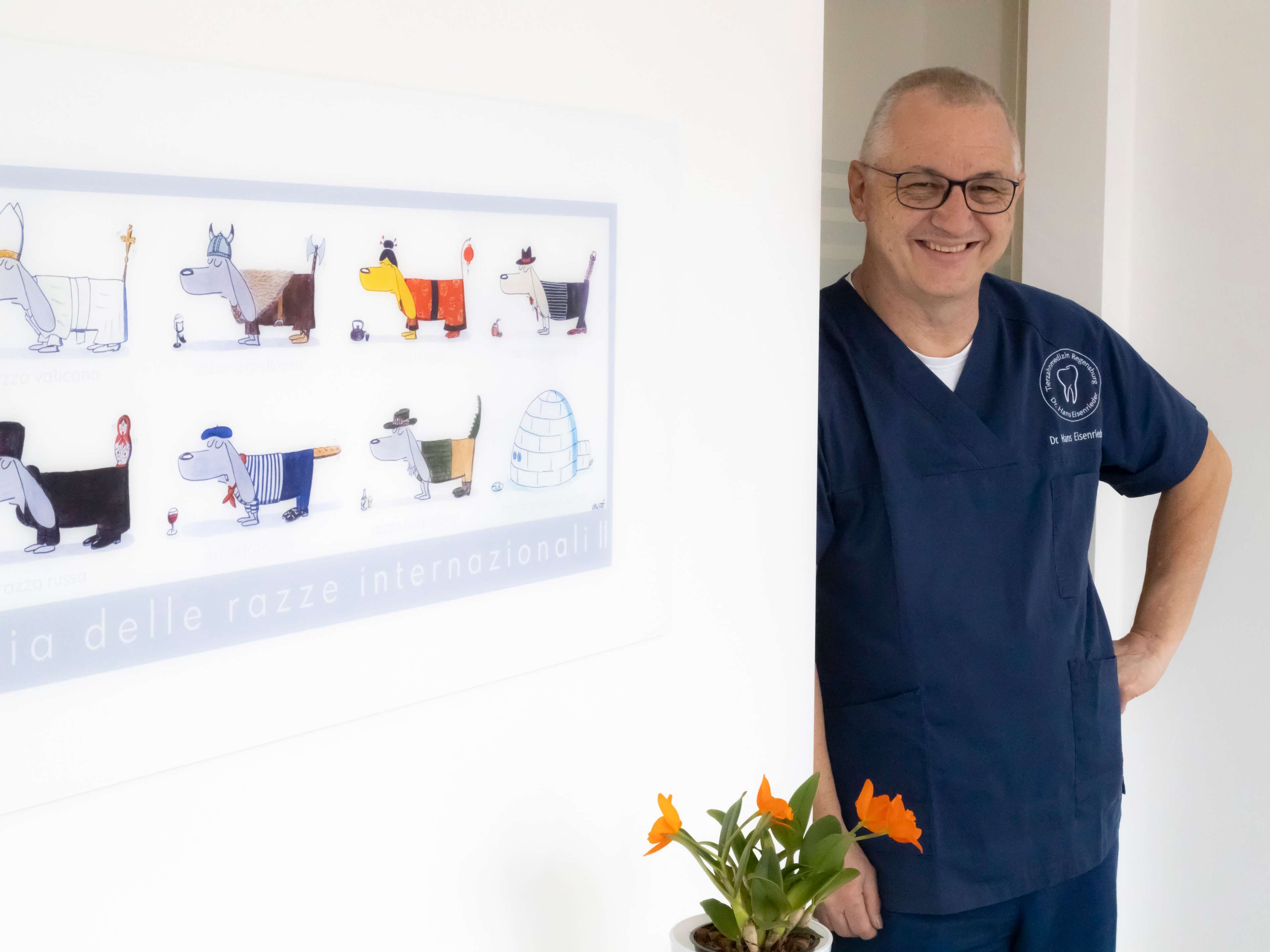 Ansicht 2 von Tierzahnmedizin Regensburg