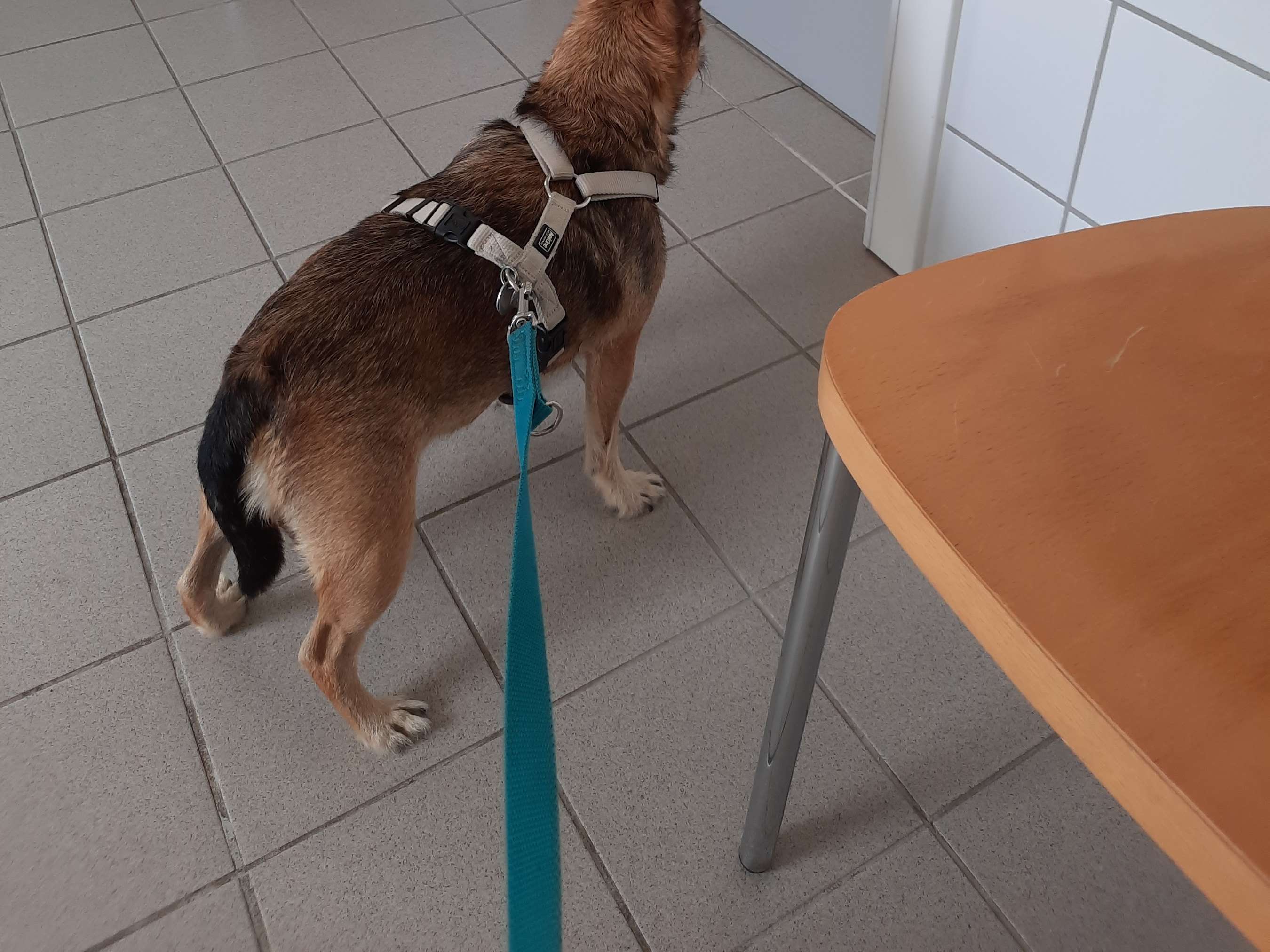 Ansicht 2 von Dipl-TA Dr. Martin Stemberger