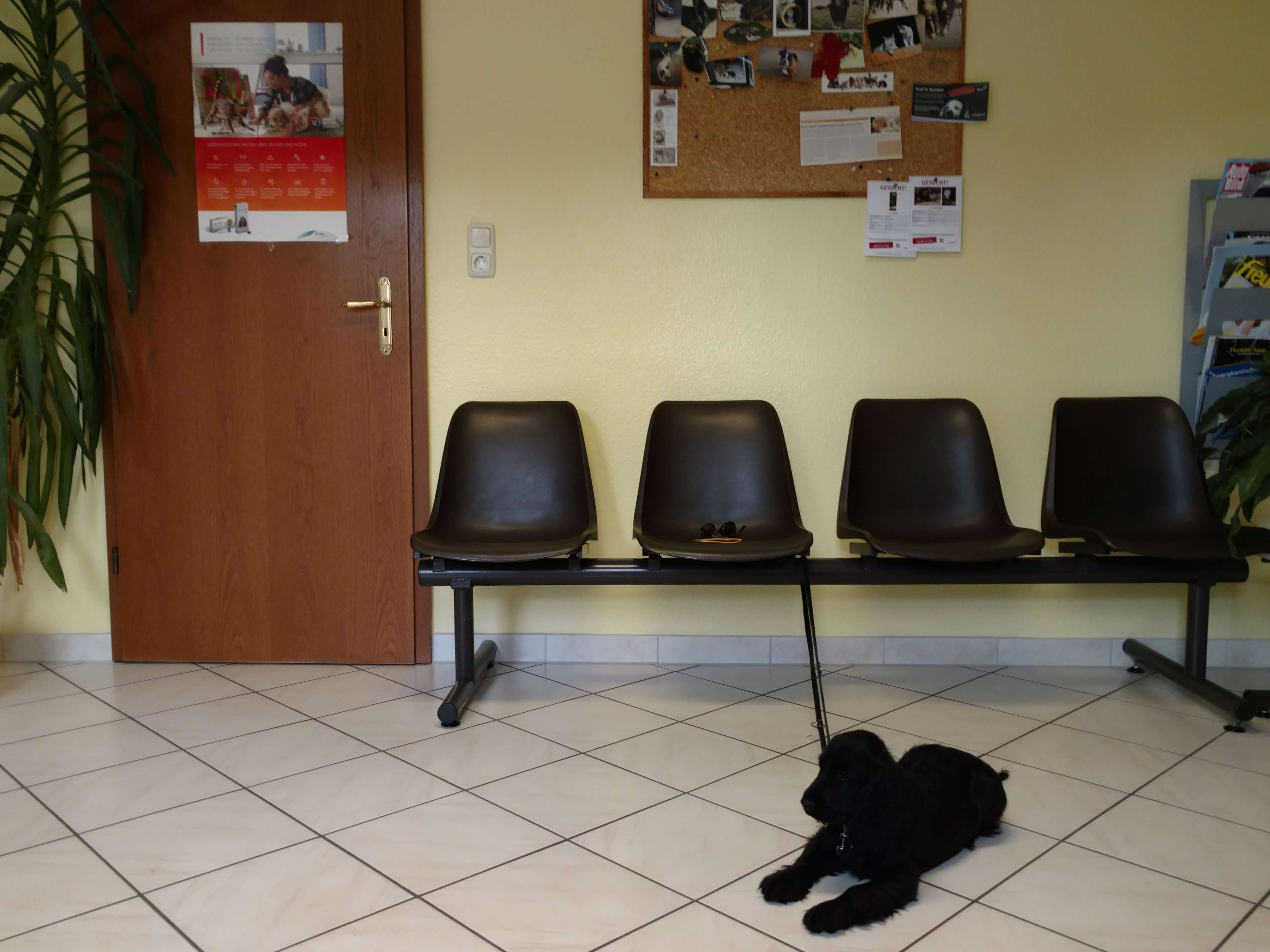 Ansicht 3 von Dr.med.vet Georg Maier
