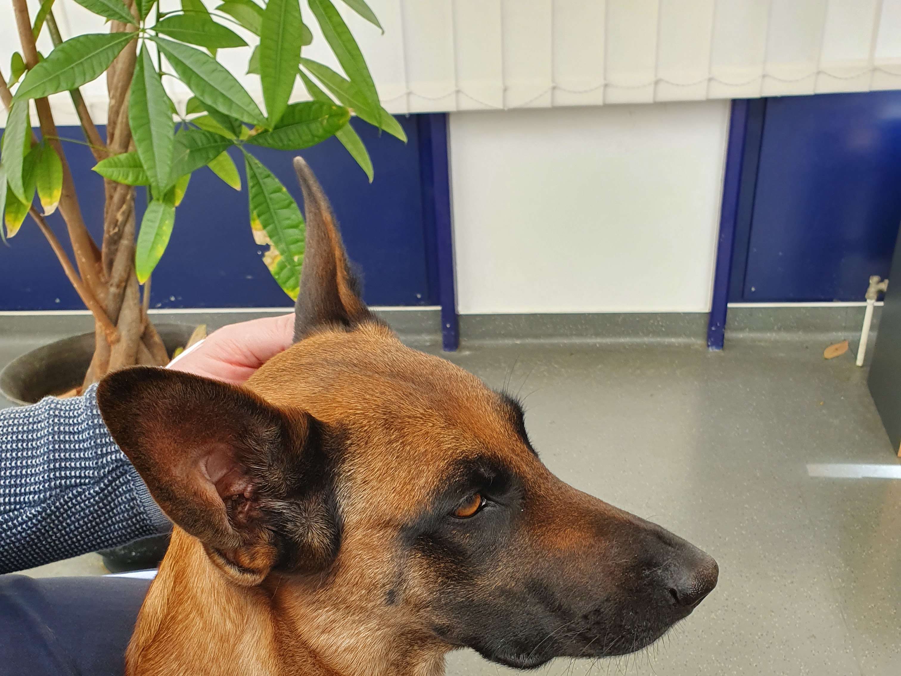 Ansicht 2 von Kleintierspezialisten