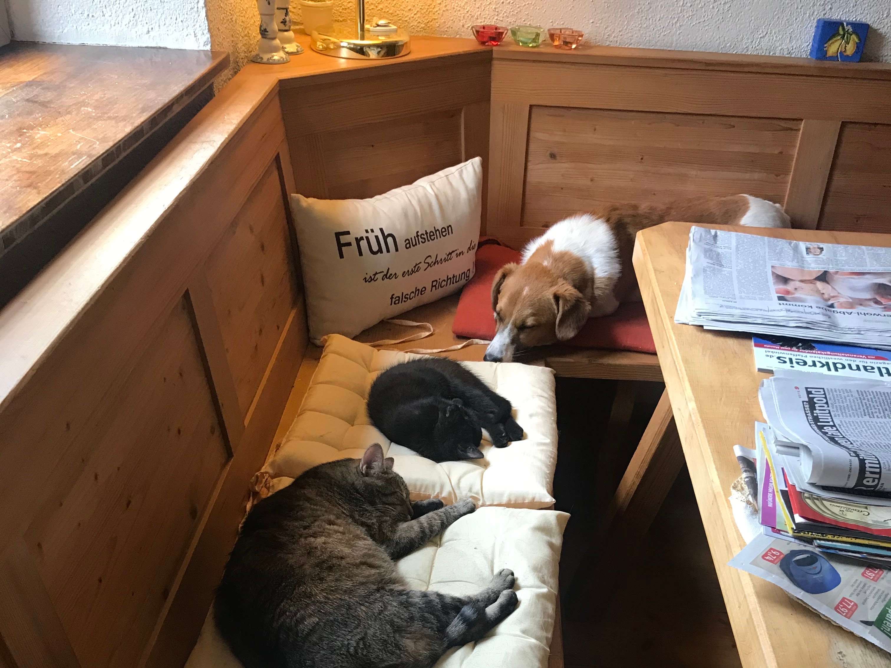 Ansicht 1 von Tierarztpraxis Dr. S. Bönsch