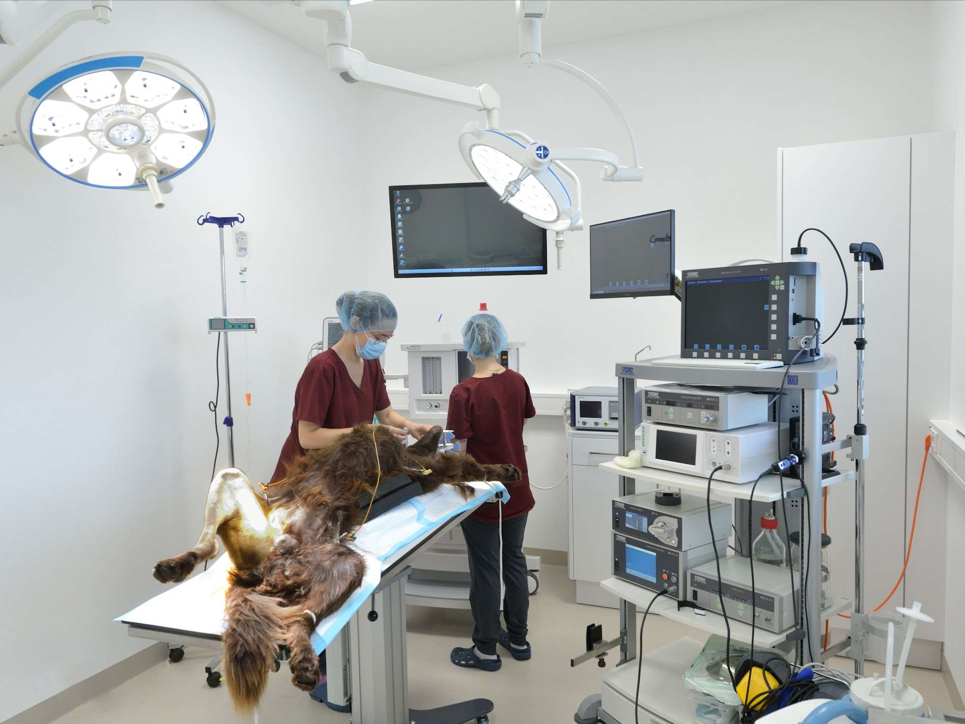 Ansicht 3 von Tierärztliches Gesundheitszentrum Töging