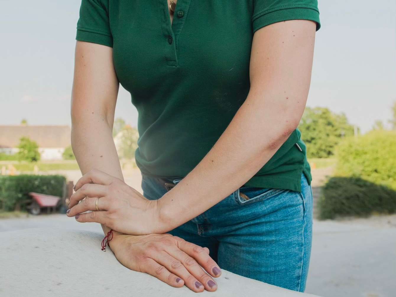 Ansicht 1 von Mobile Tierarztpraxis für Chiropraktik Dr. Amelie Plenge