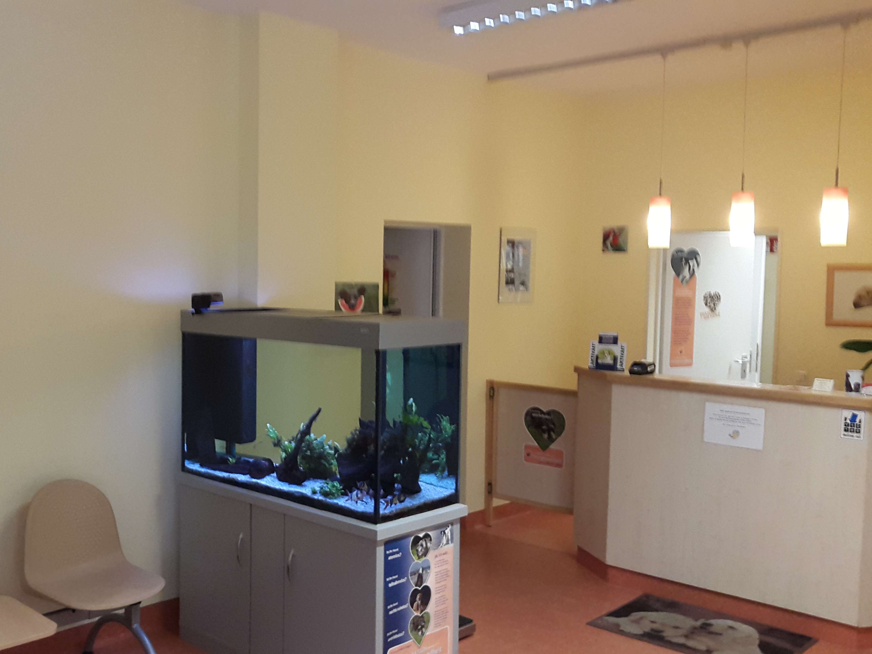 Ansicht 2 von Kleintierpraxis auf der RÜ - Tierärztin Livia Schwigat