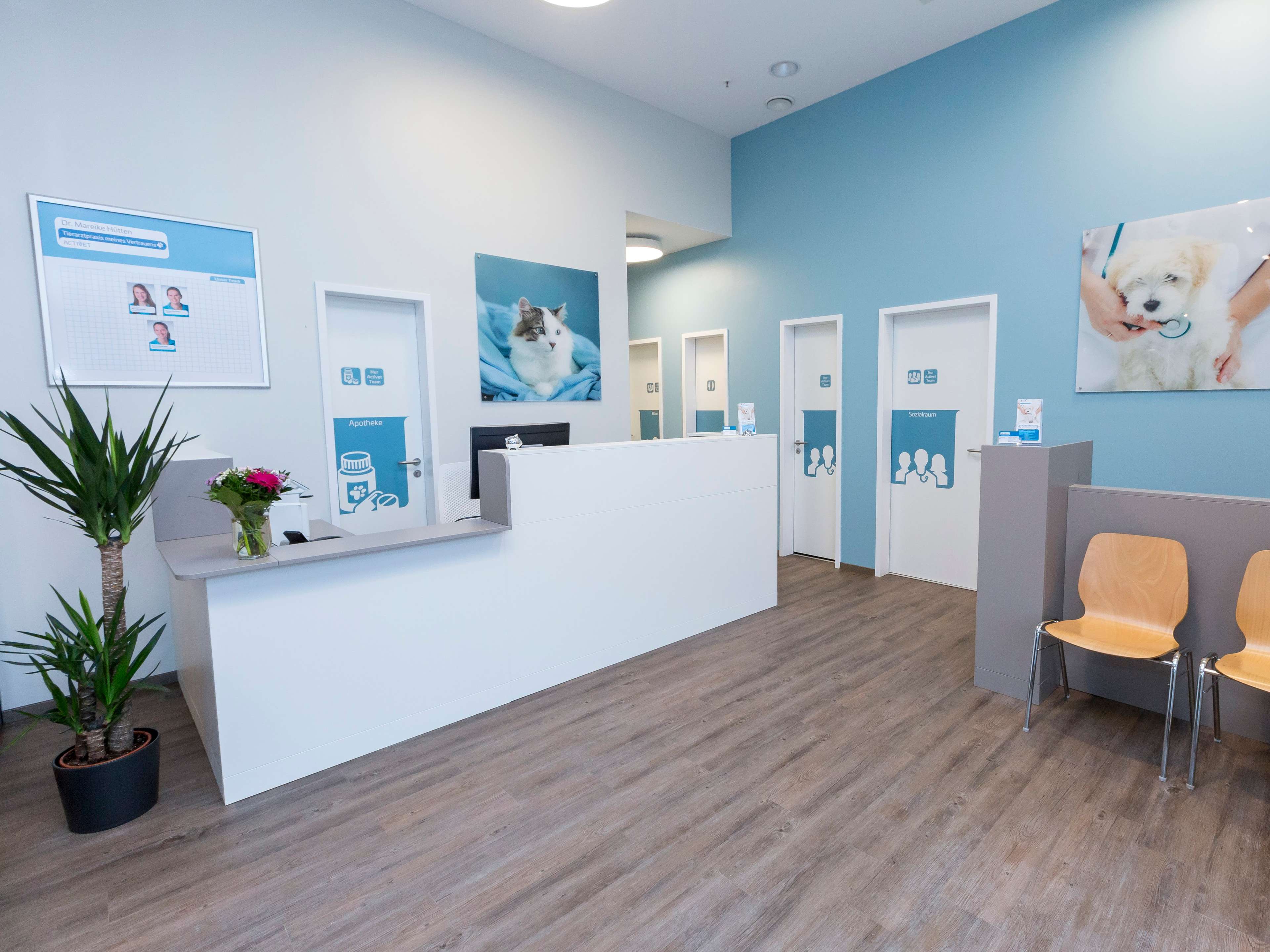 Ansicht 1 von Tierarzt Hannover, Activet Tierarztpraxis Hannover Südstadt