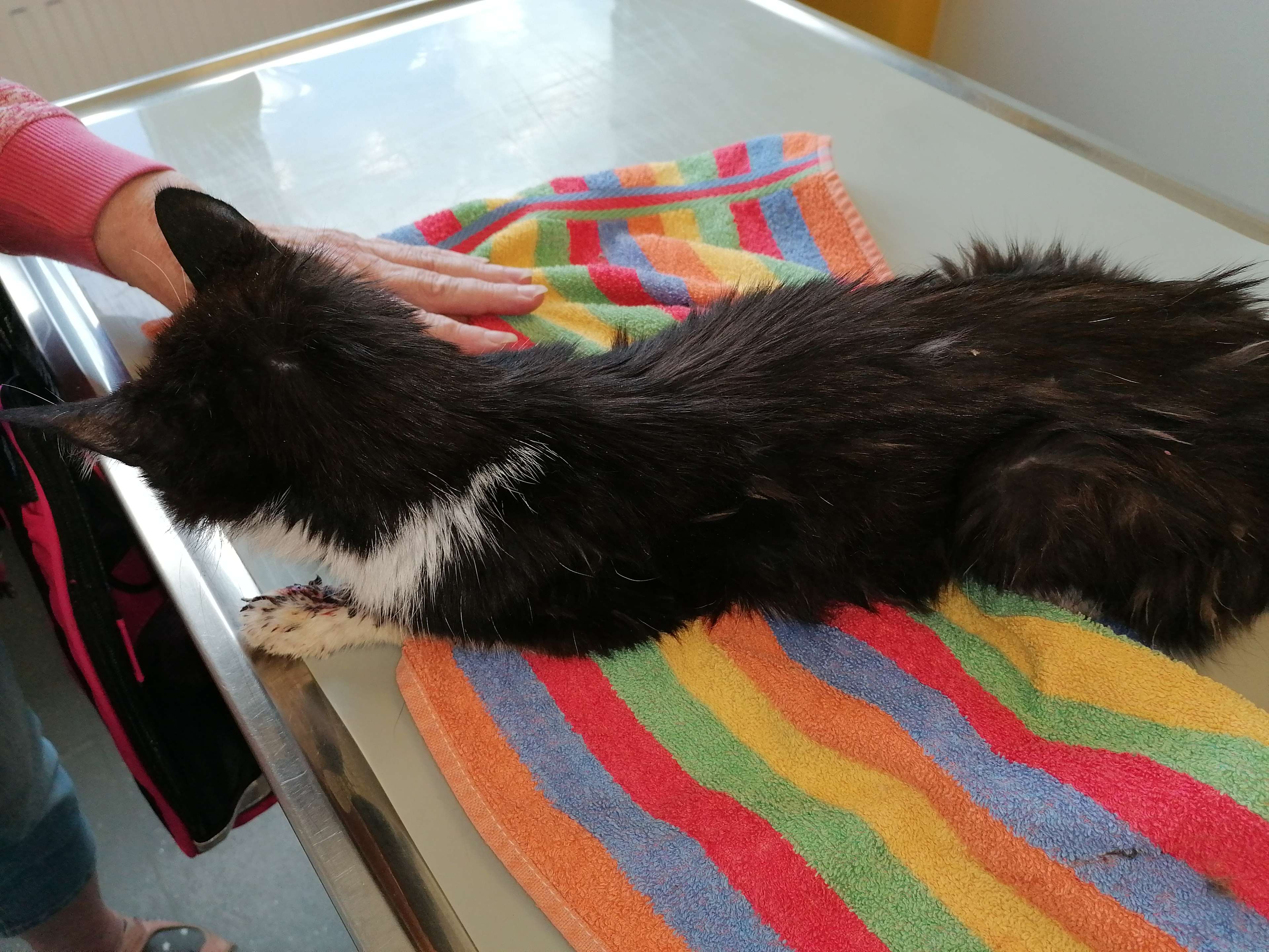 View 1 of Tierärzte Dr. Pfeil & Monig Partnerschaft