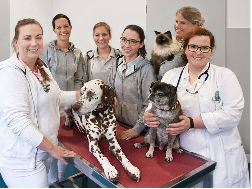 Ansicht 1 von Kleintiermedizin am Lützowufer