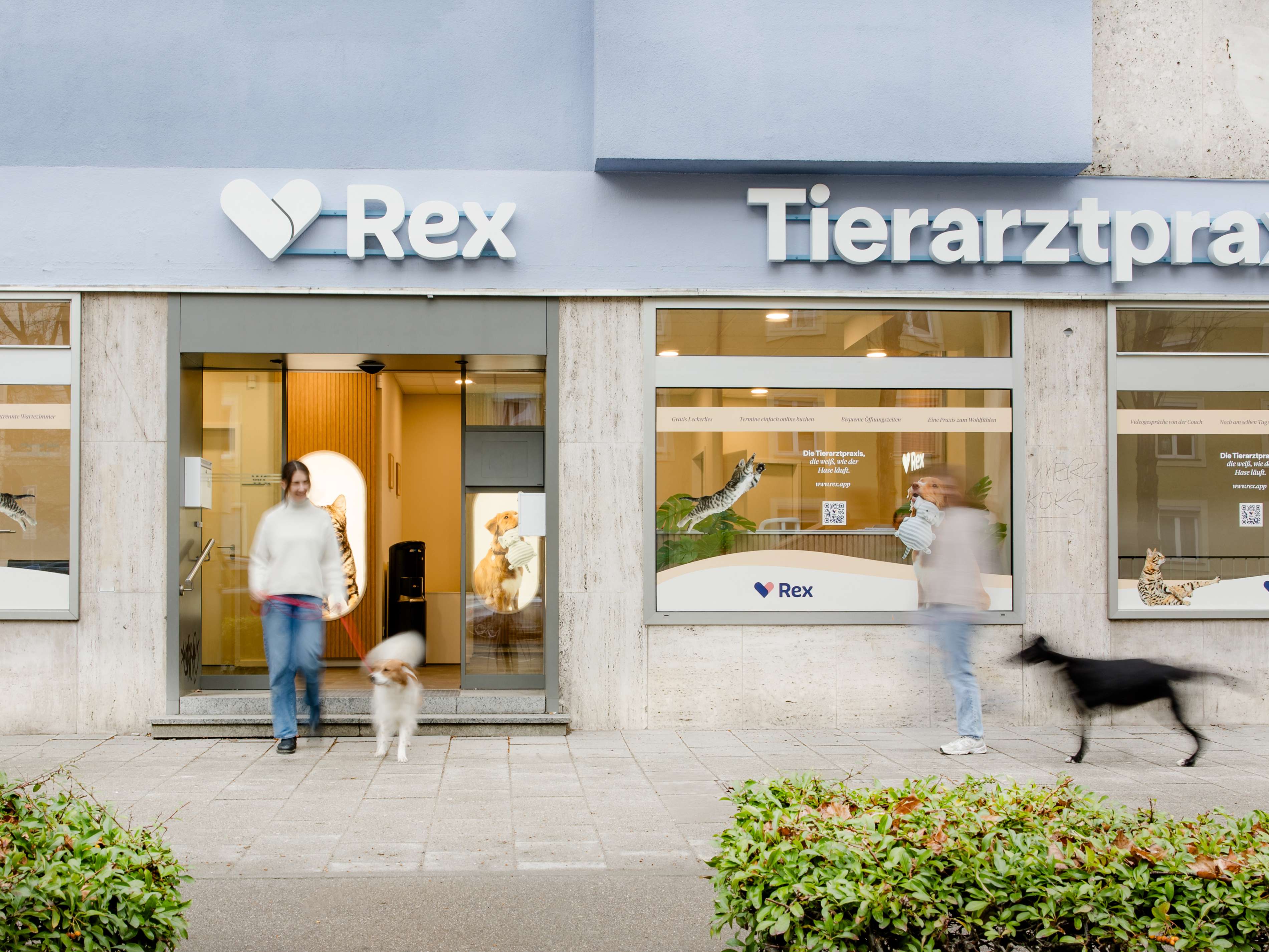 Ansicht 1 von Rex Tierarztpraxis München-Poccistraße
