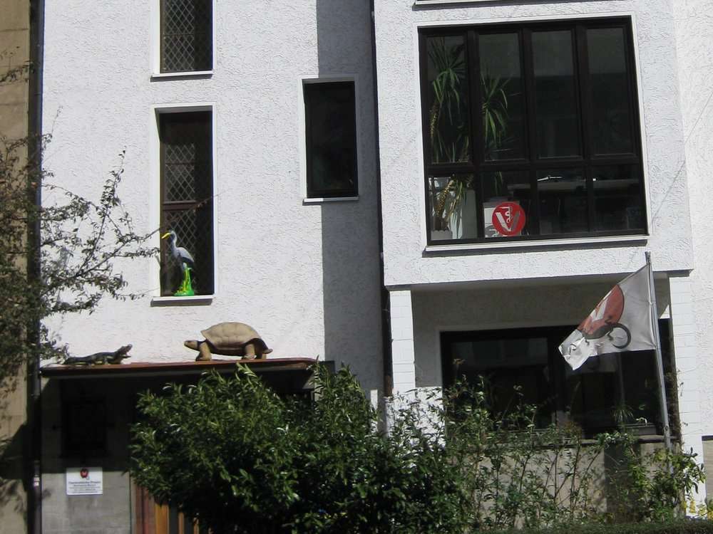 Ansicht 2 von Reptilientierarzt Kornelis Biron