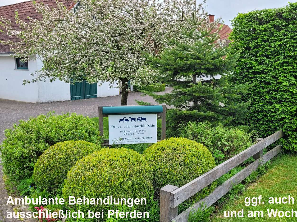 Ansicht 2 von Fachtierarzt für Pferde - Dr. med. vet. Hans-Joachim Klein