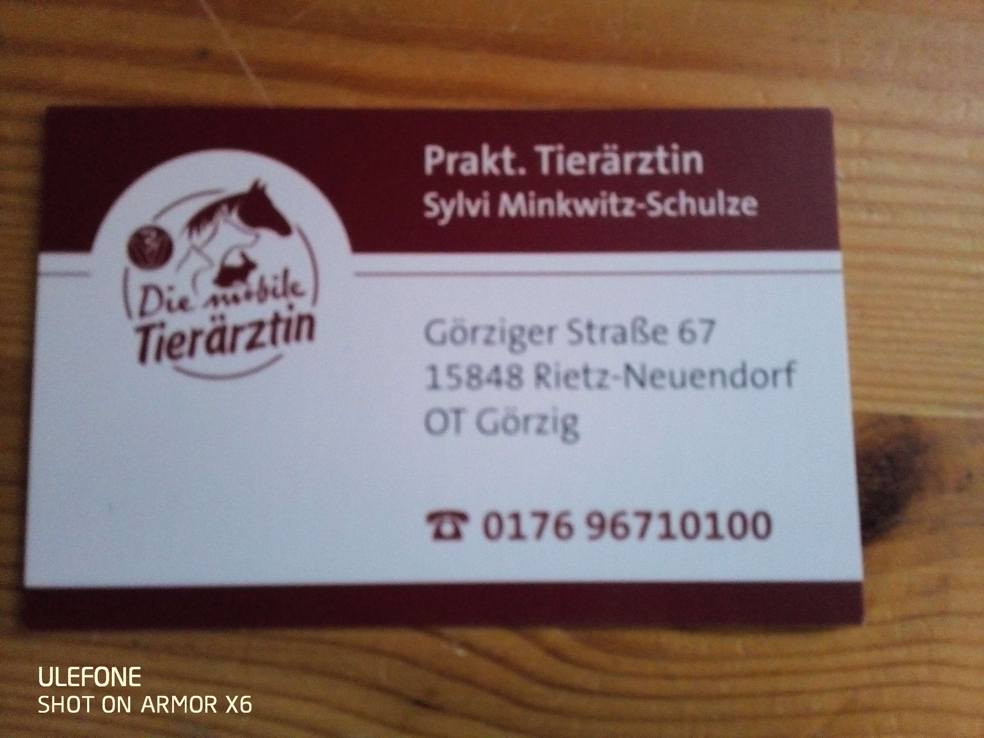 Ansicht 1 von Tierärztin Frau Sylvi Minkwitz-Schulze