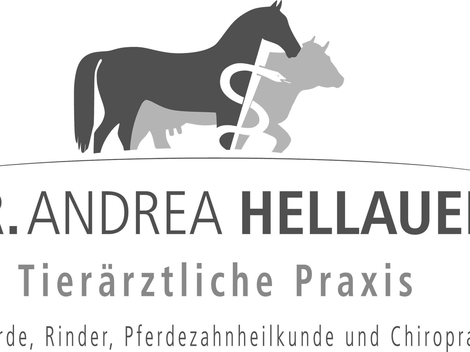 Ansicht 3 von Tierarztpraxis Dr. Hellauer - Pferde+Großtiere