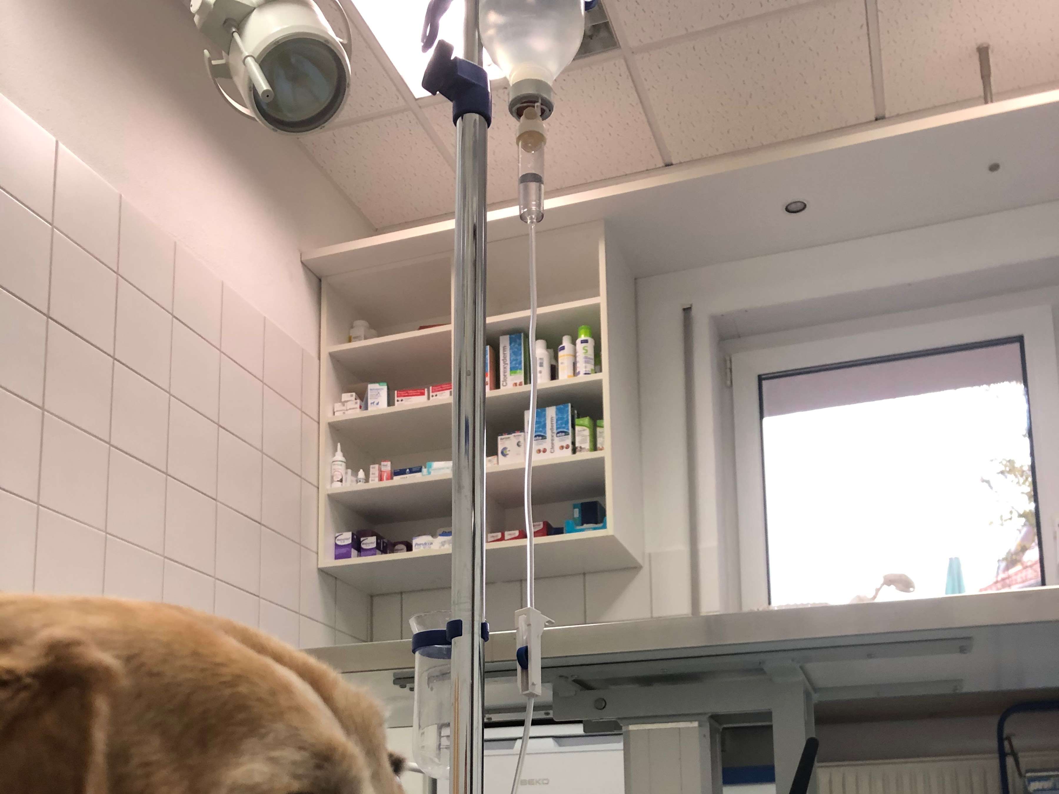 Ansicht 2 von Dr. med. vet. Roland Graen